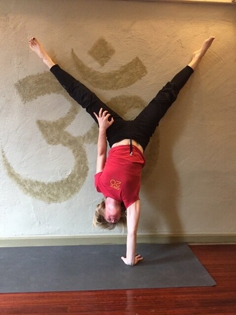 Pose of the Month - One Arm Handstand — Karin Eisen Yoga – New Hope, PA