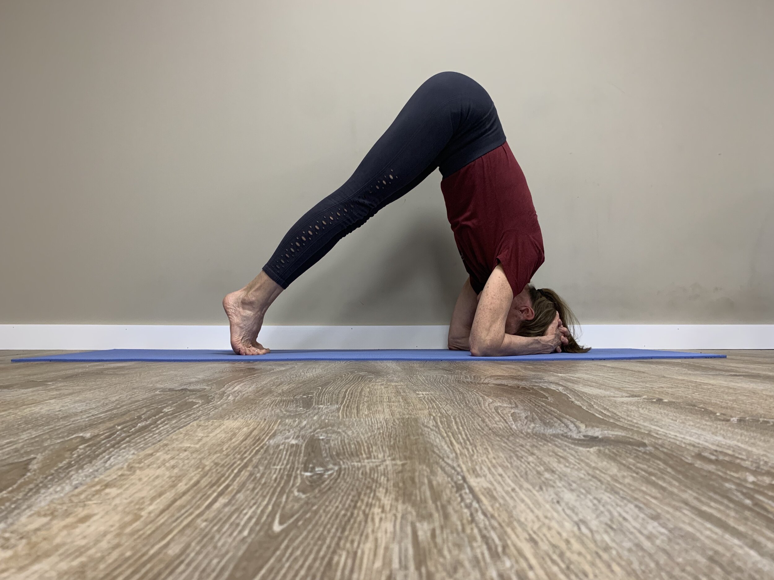 Poses to do if you don't do Head Stand — Karin Eisen Yoga – New Hope, PA