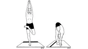 From Vrksasana to Ardha Baddha Padmottanasana