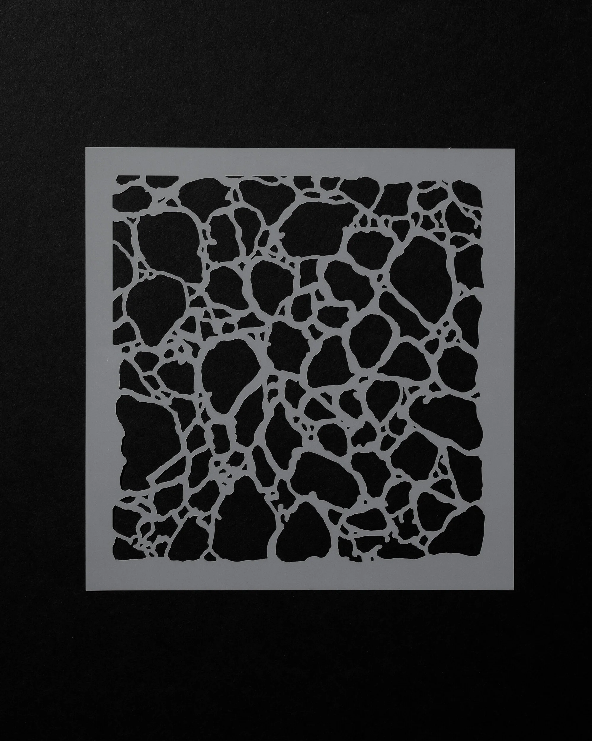 FAFB2951-2F3B-424A-9A1C-D35672F04330