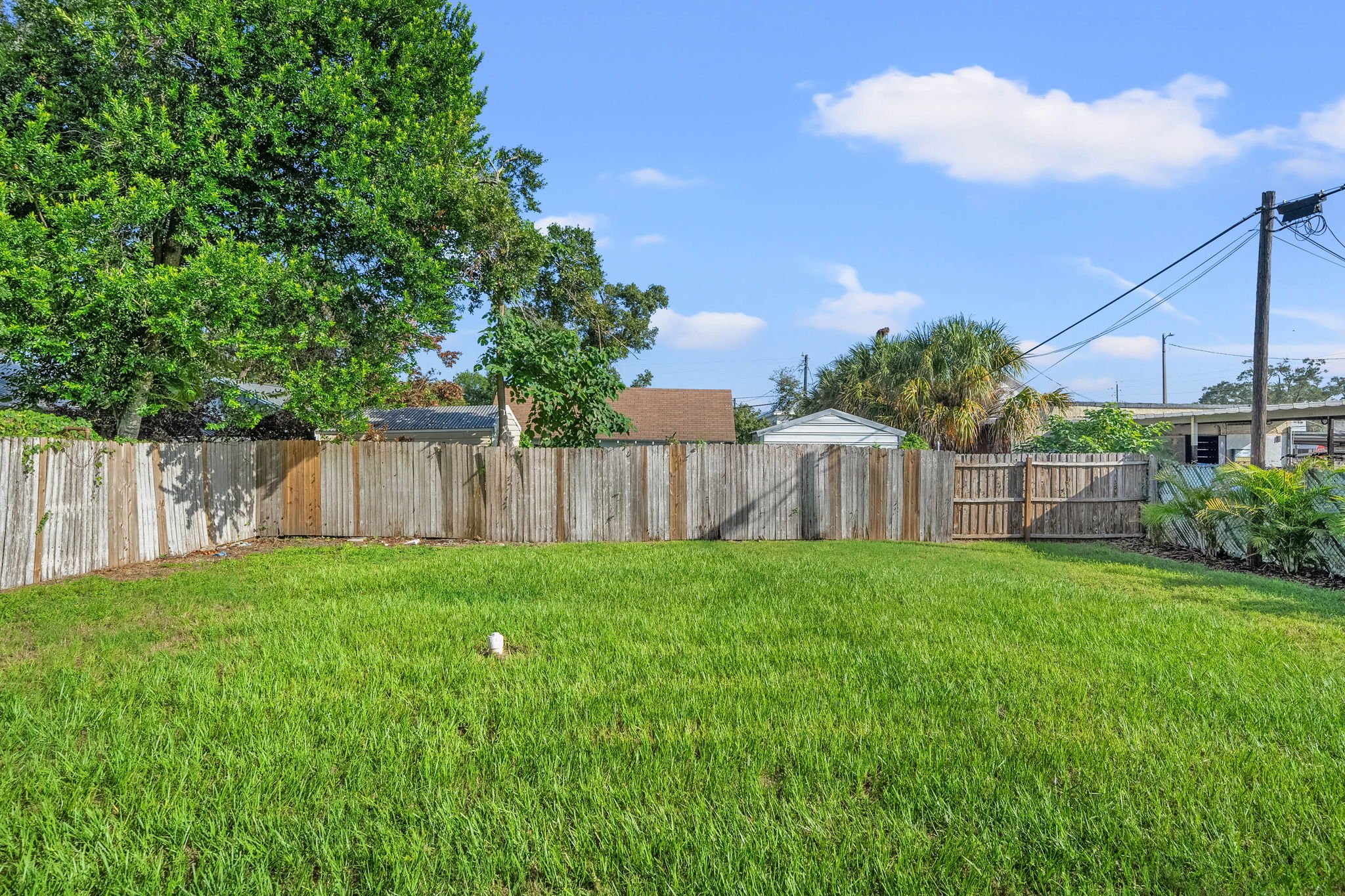 101 W Ida St - Seminole Heights - The Heights - Tampa - The Grimsdale Group - backyard.jpg