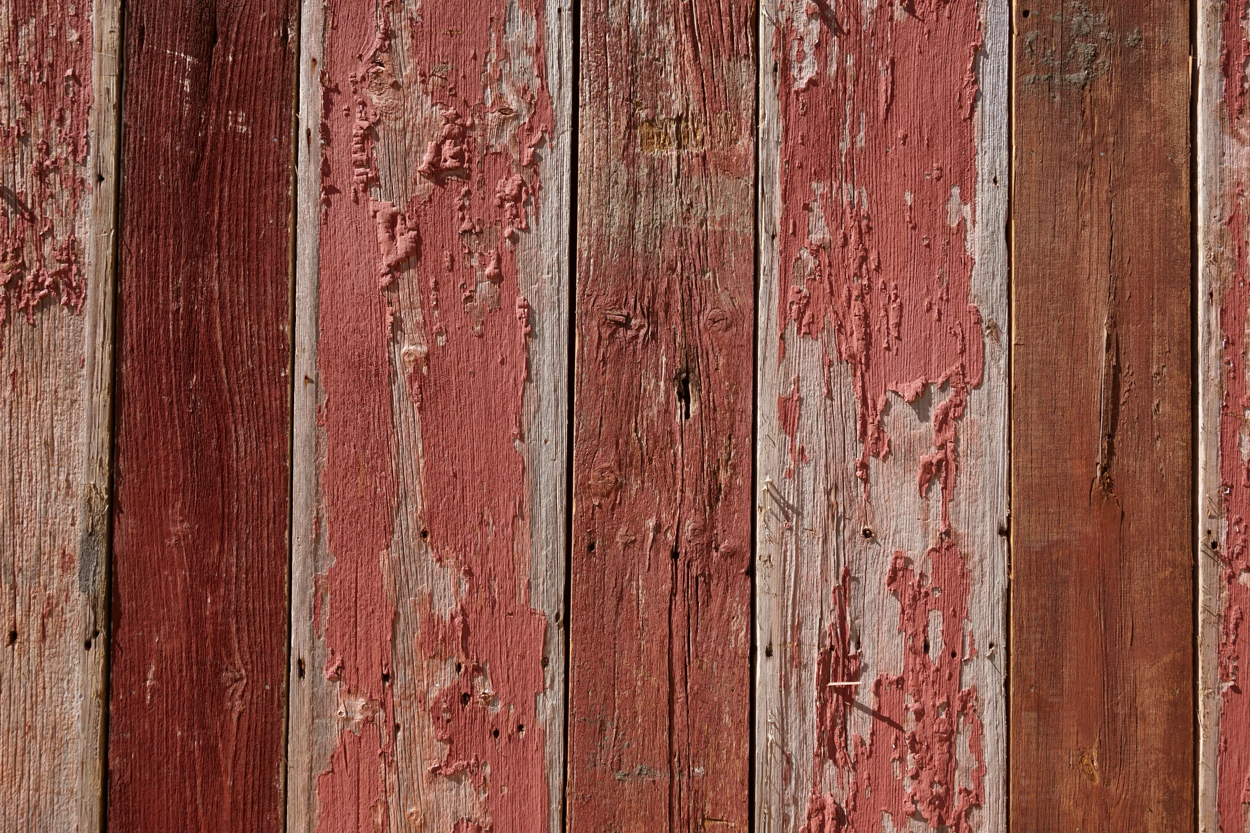 Red Barn Board