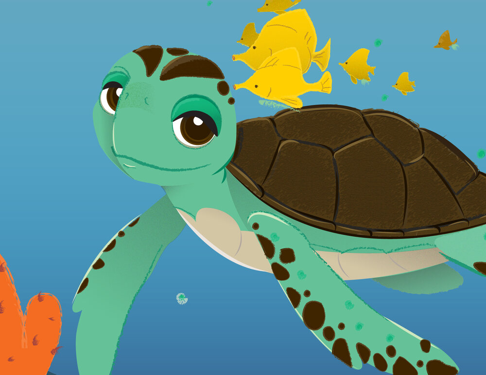 Disney Education Sea Turtle Adventure — POP creative