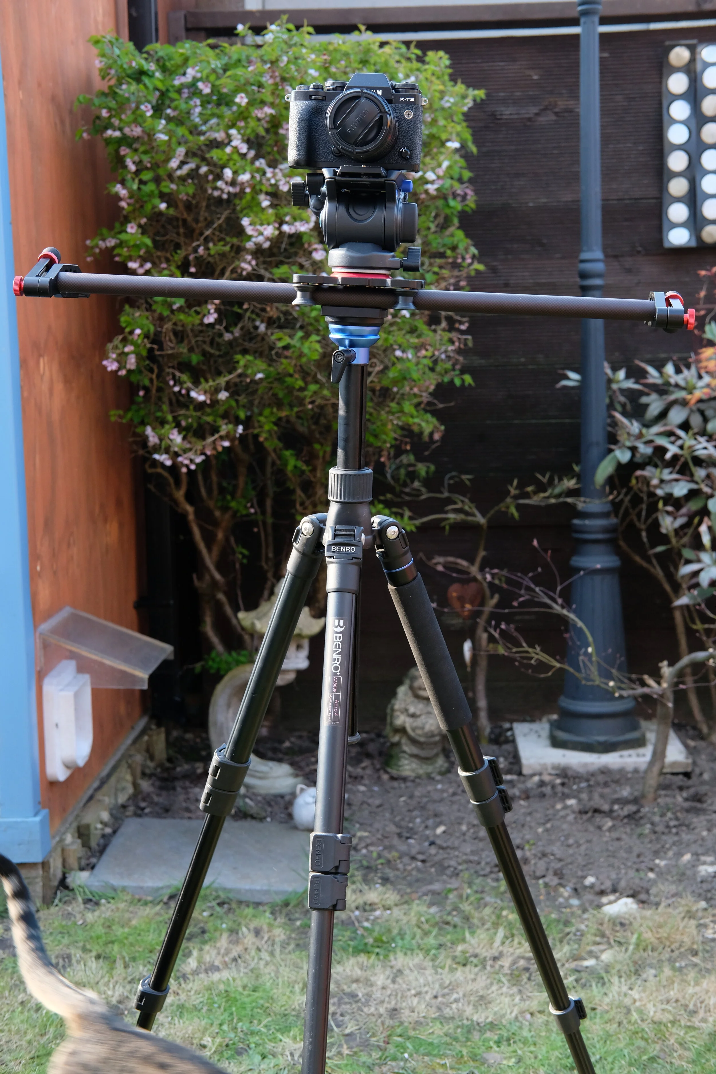 DSCF3080.JPG