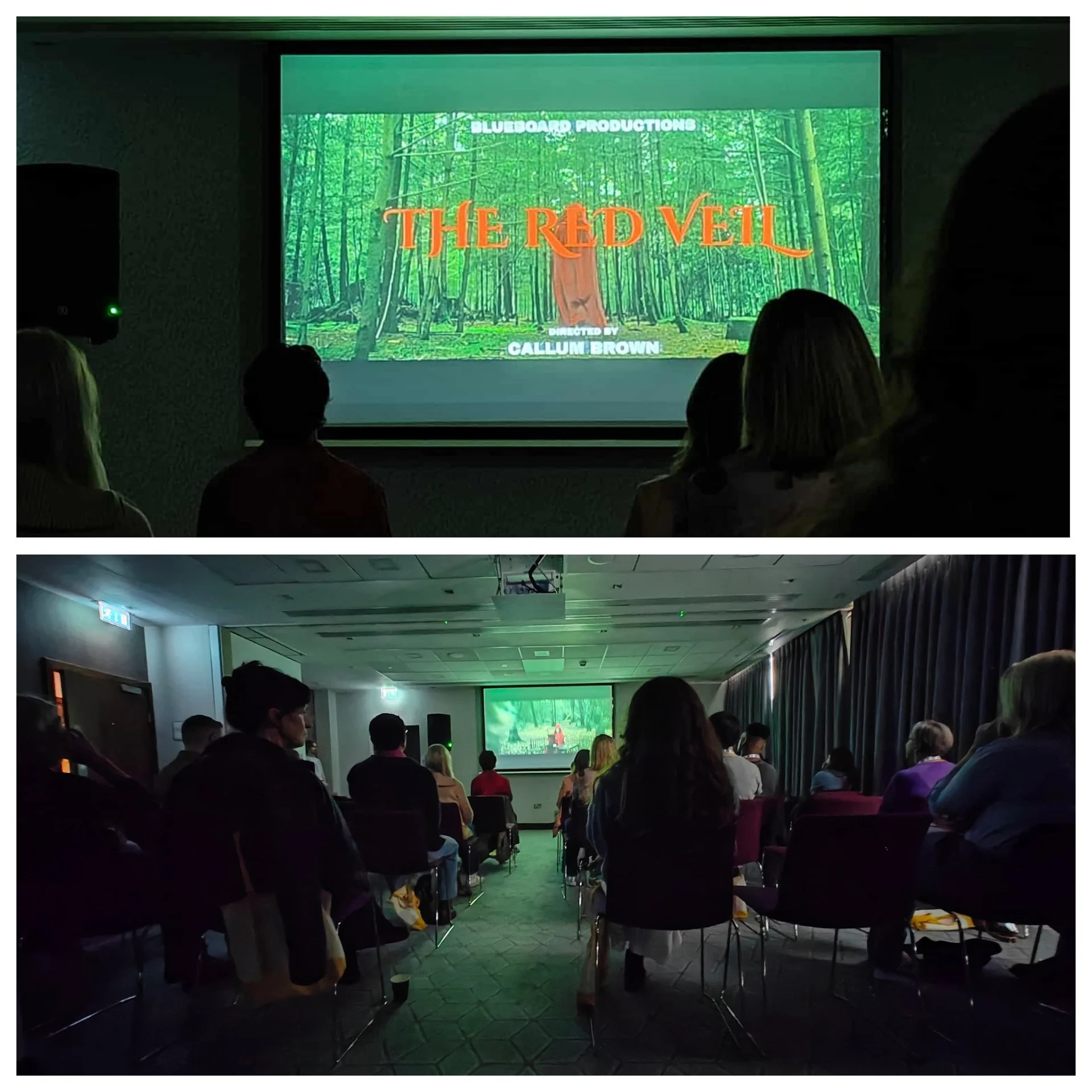 The Red Veil being screened at the Hilton for the Bournemouth international film festival