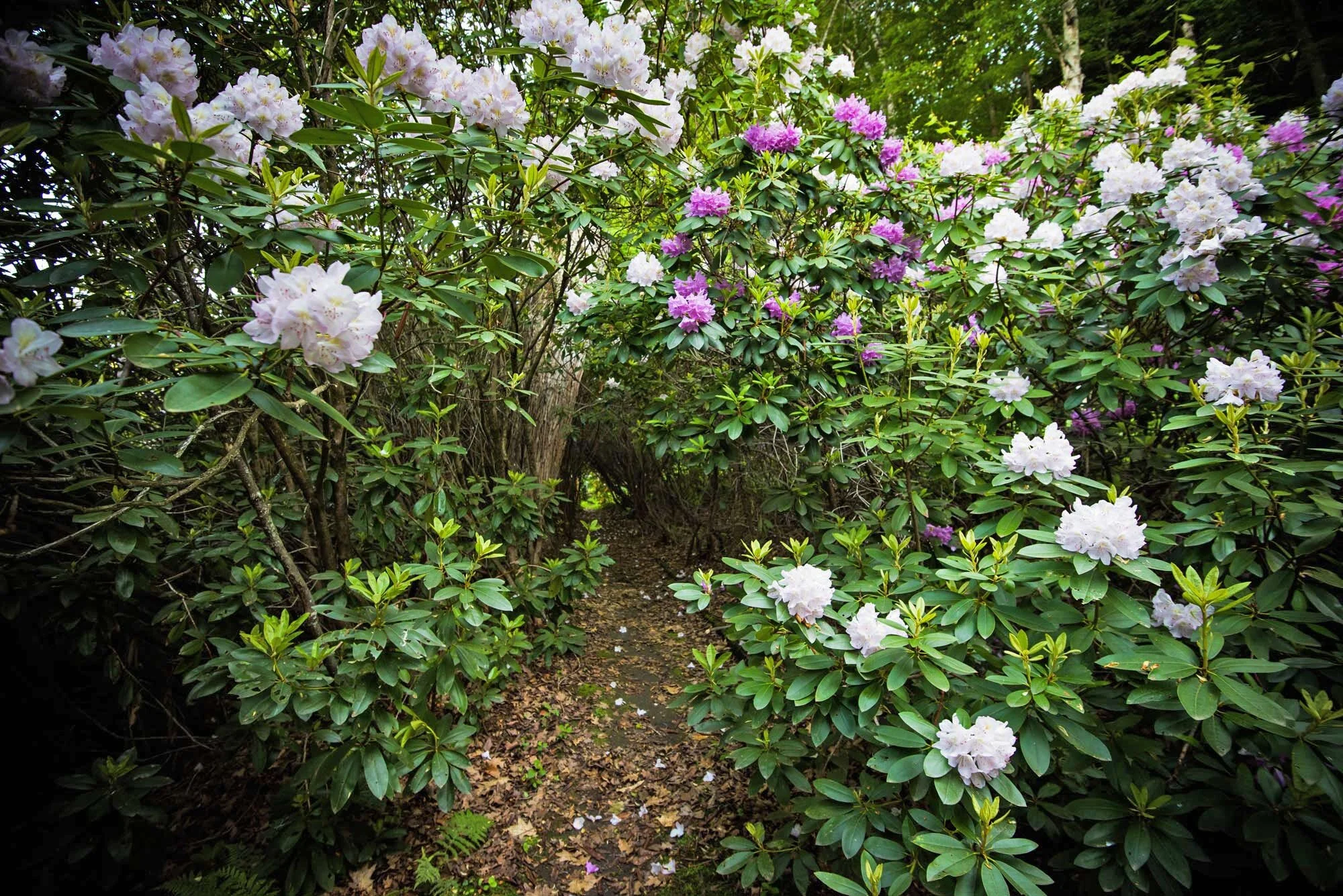 Gift Certificates — The Landmark Trust USA