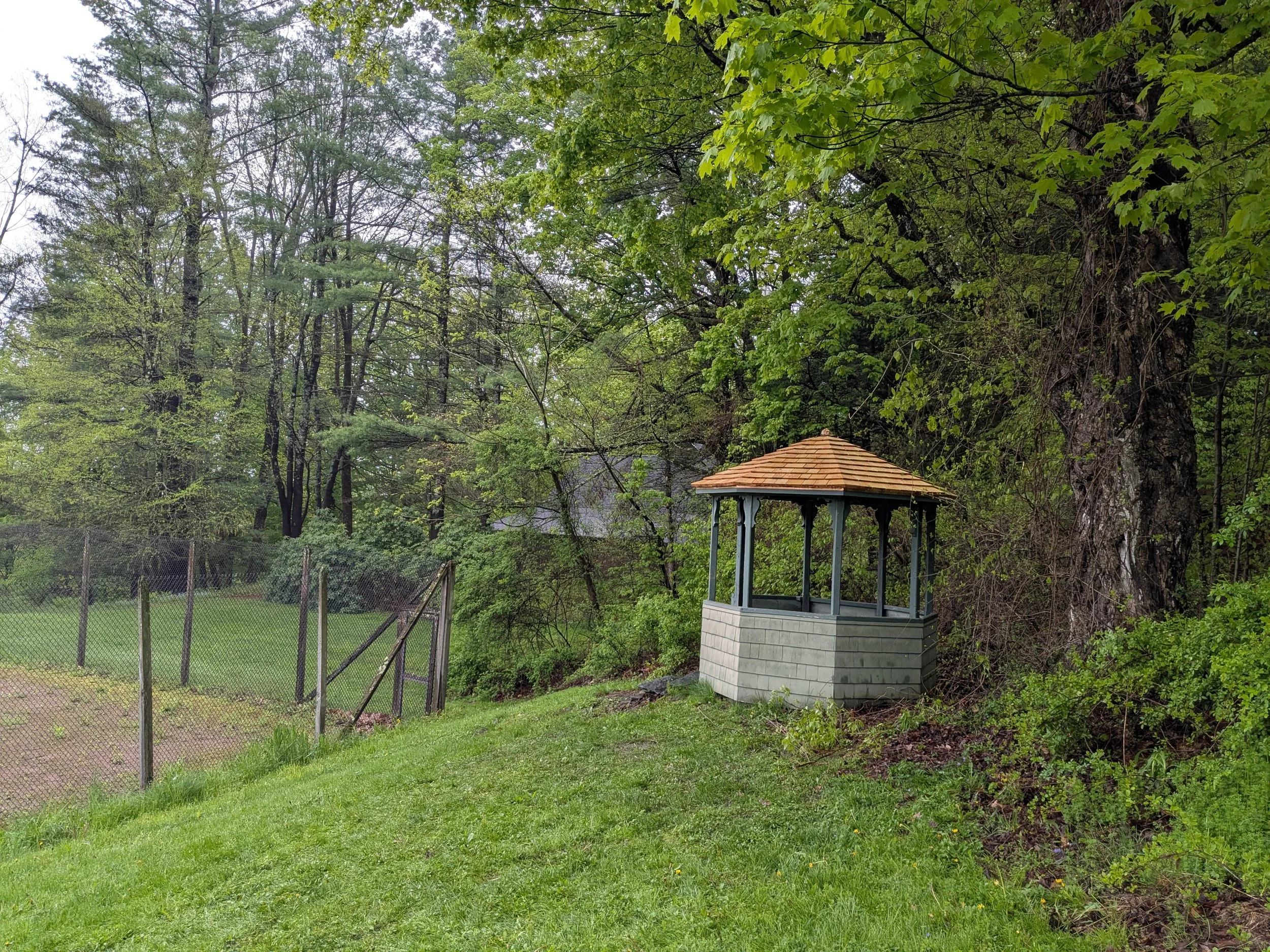 PXL_20260515_125028332.jpg