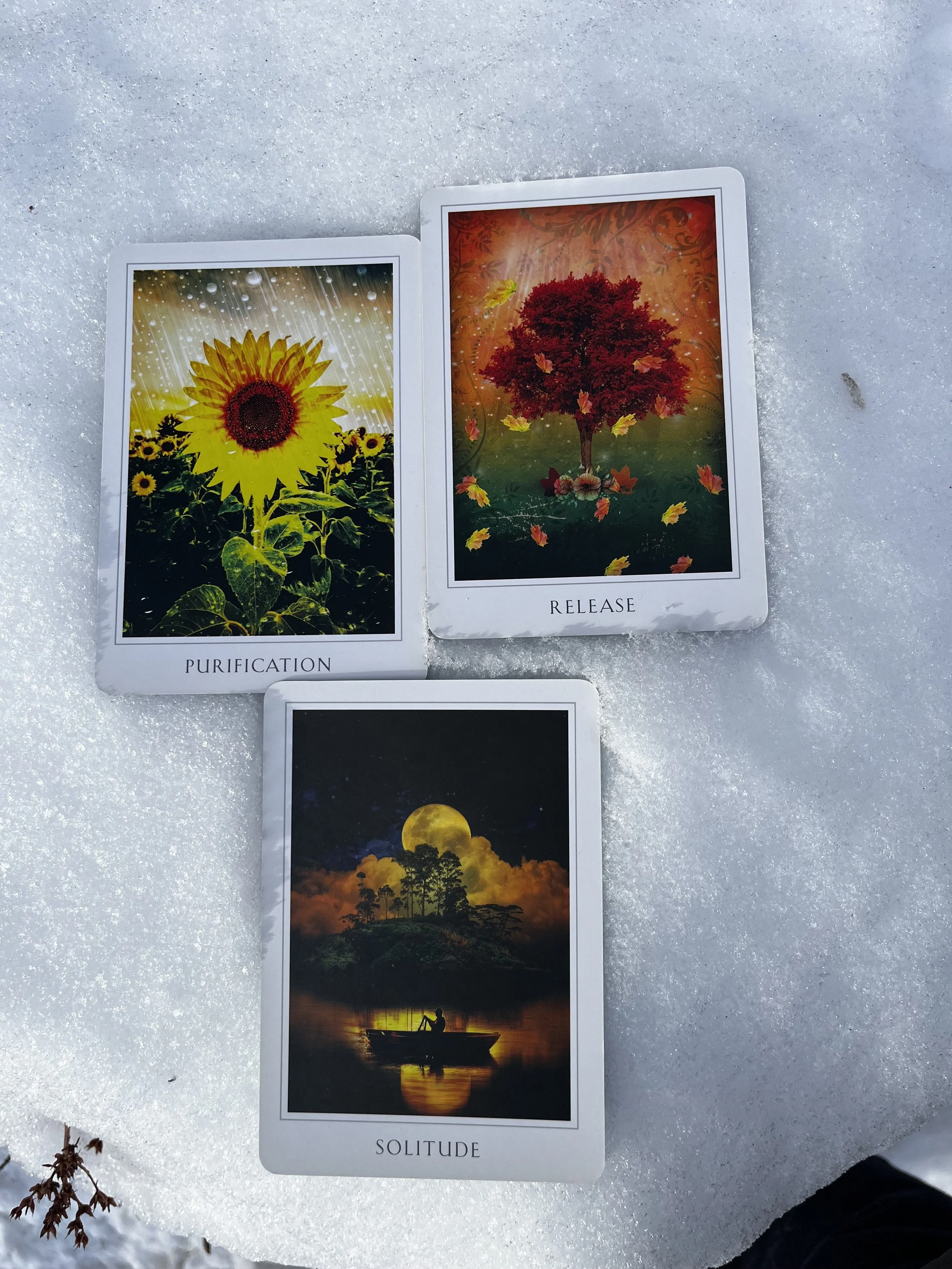 December 2025 Full Moon Reading