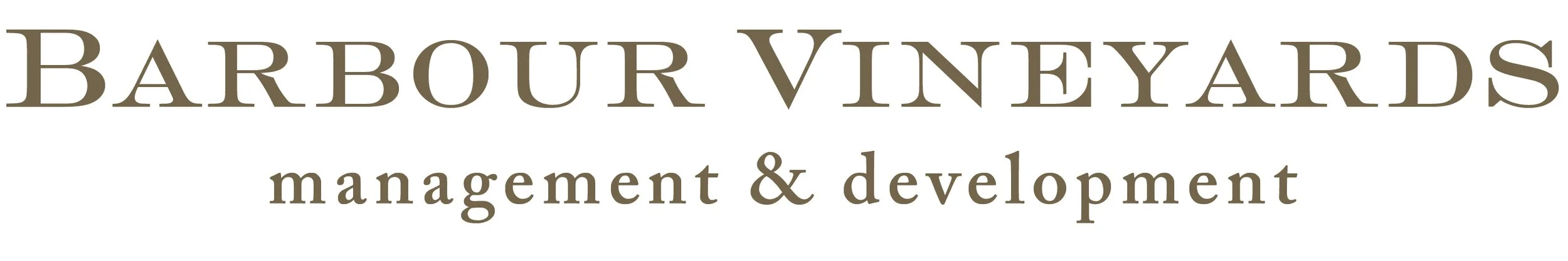 New BBV Logo-01 (2).jpg