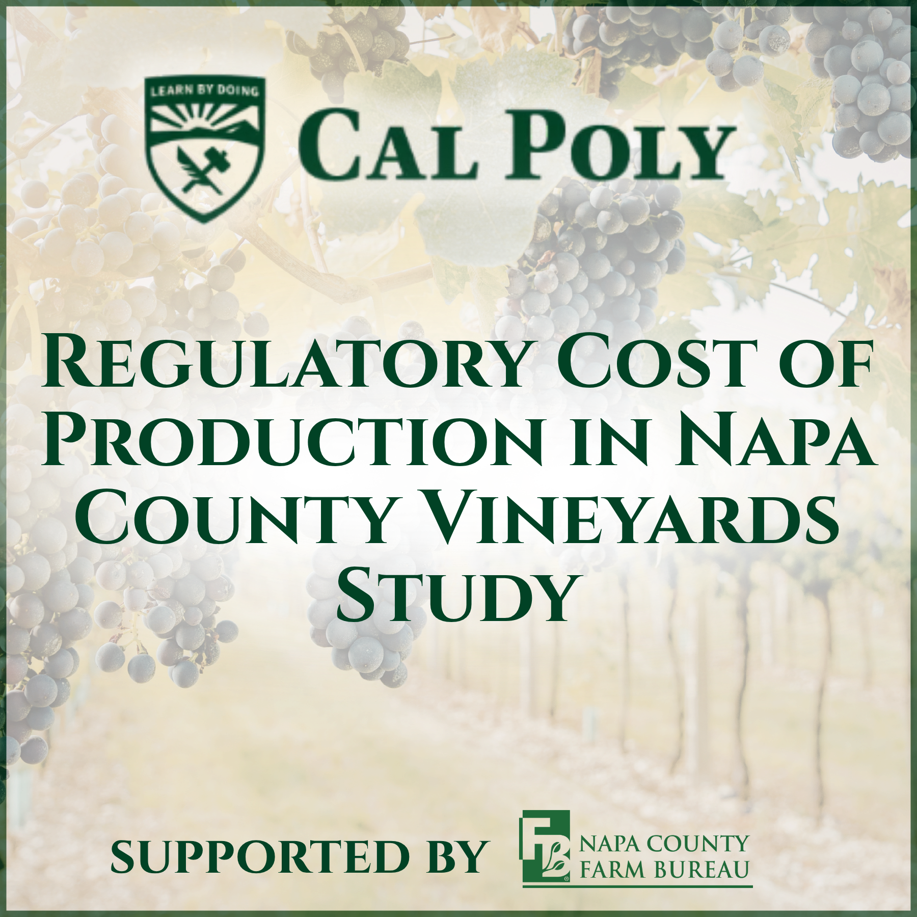 Regulatory Cost of Production in Napa County Vineyards