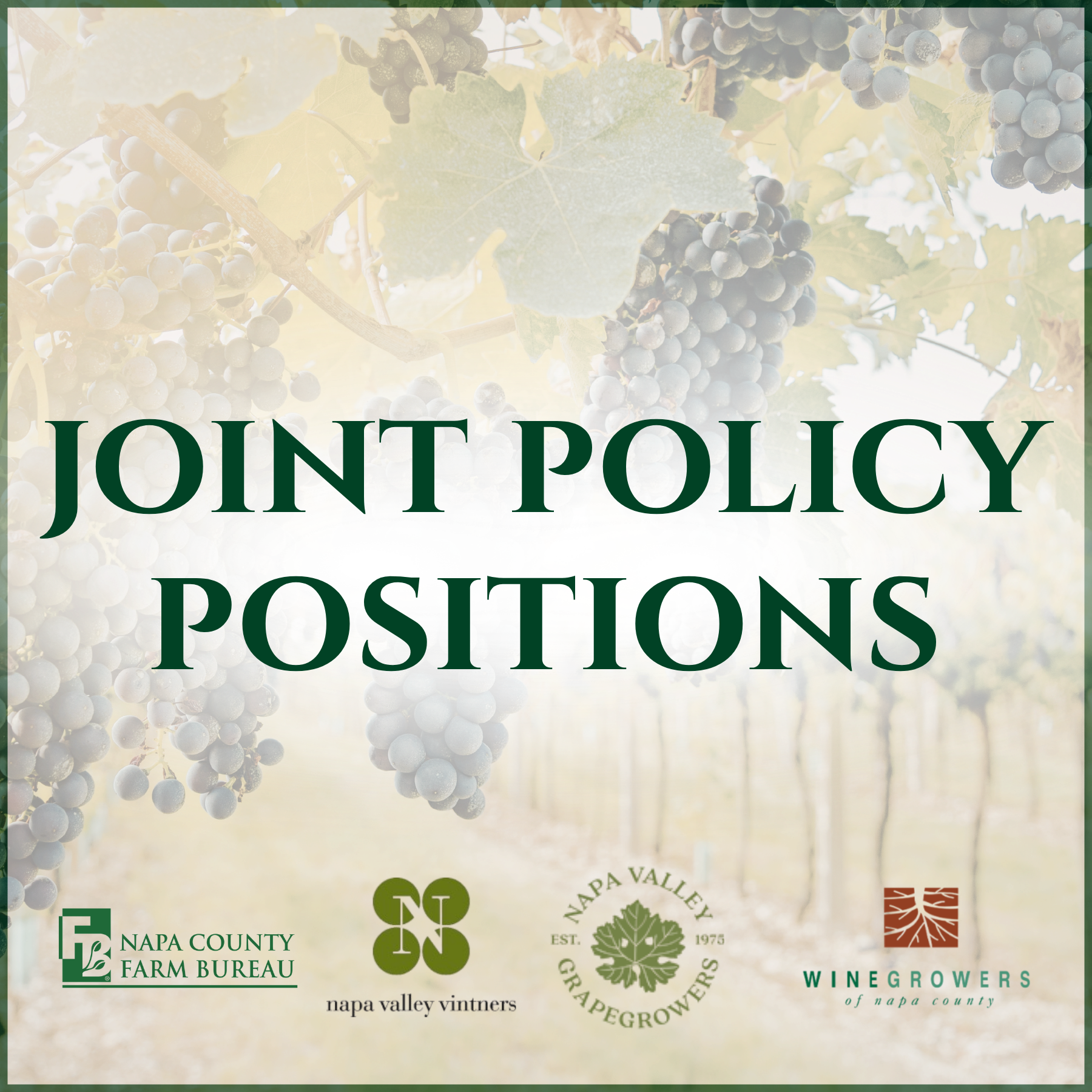 Napa’s Four Leading Agriculture and Wine Organizations Speak With One Voice Before Board of Supervisors, Calling for Permitting Reform and Long-Term Land Use Protections