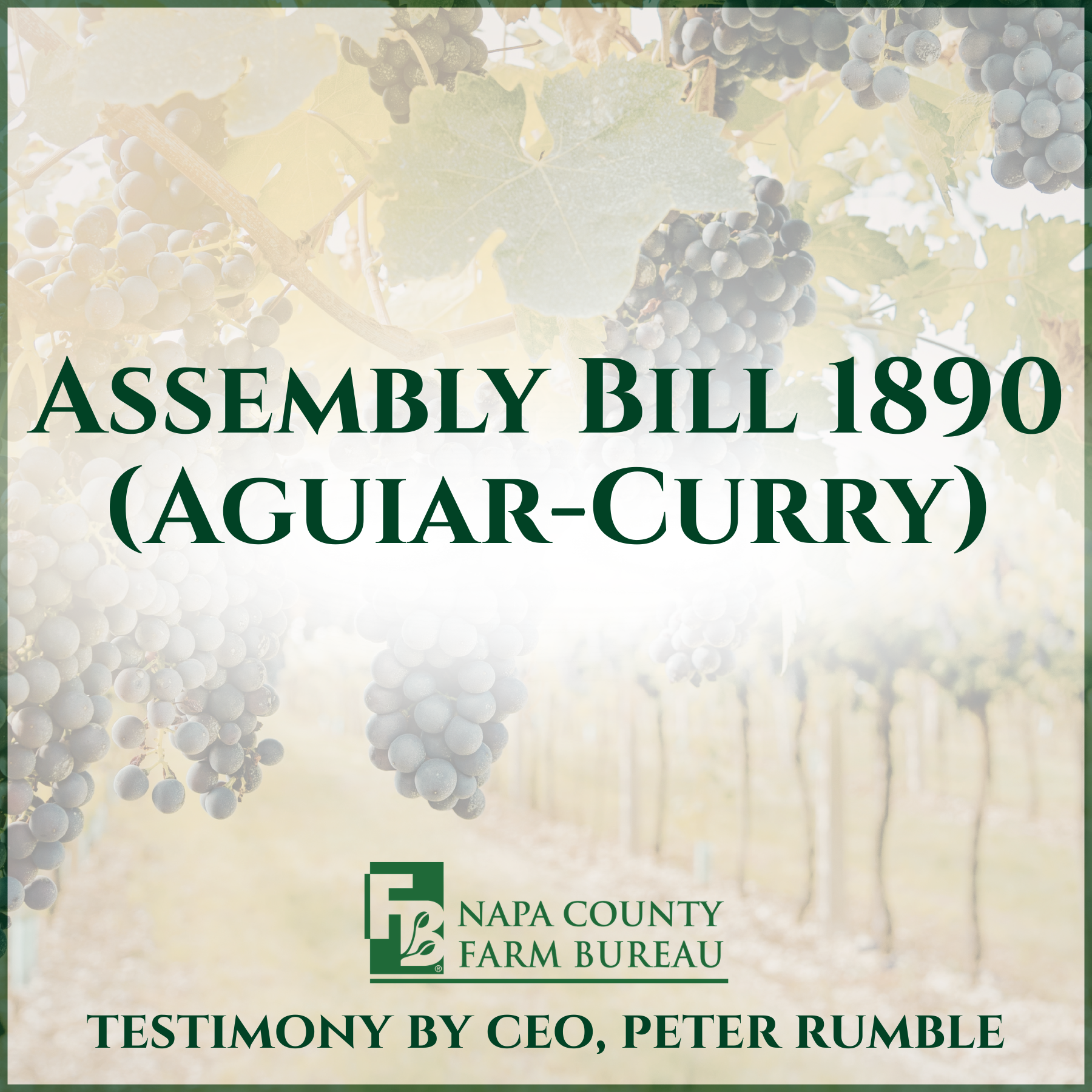 Testimony on Assembly Bill 1890 (Aguiar-Curry) 