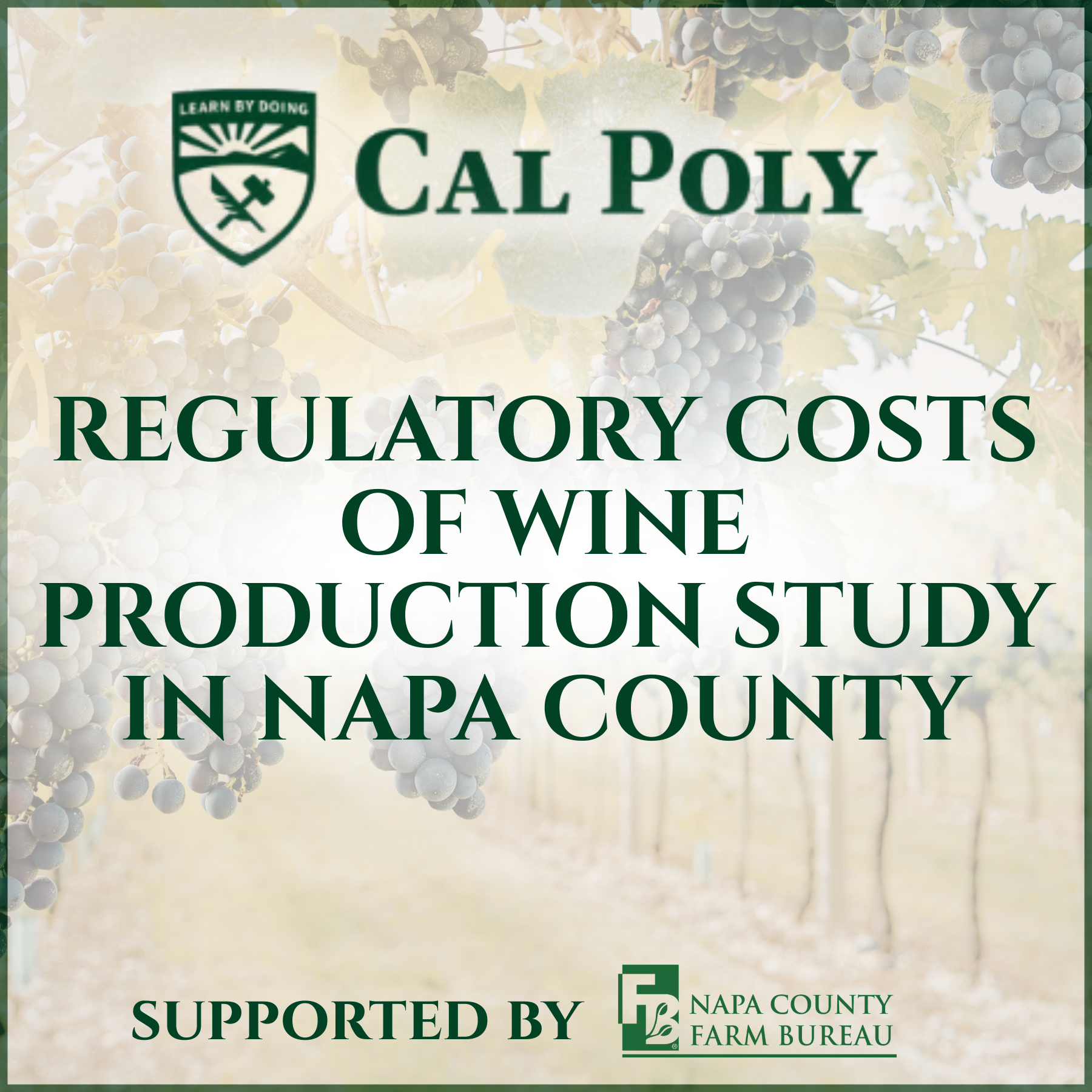 New Cal Poly Study Quantifies Regulatory Costs Facing Napa County Wineries