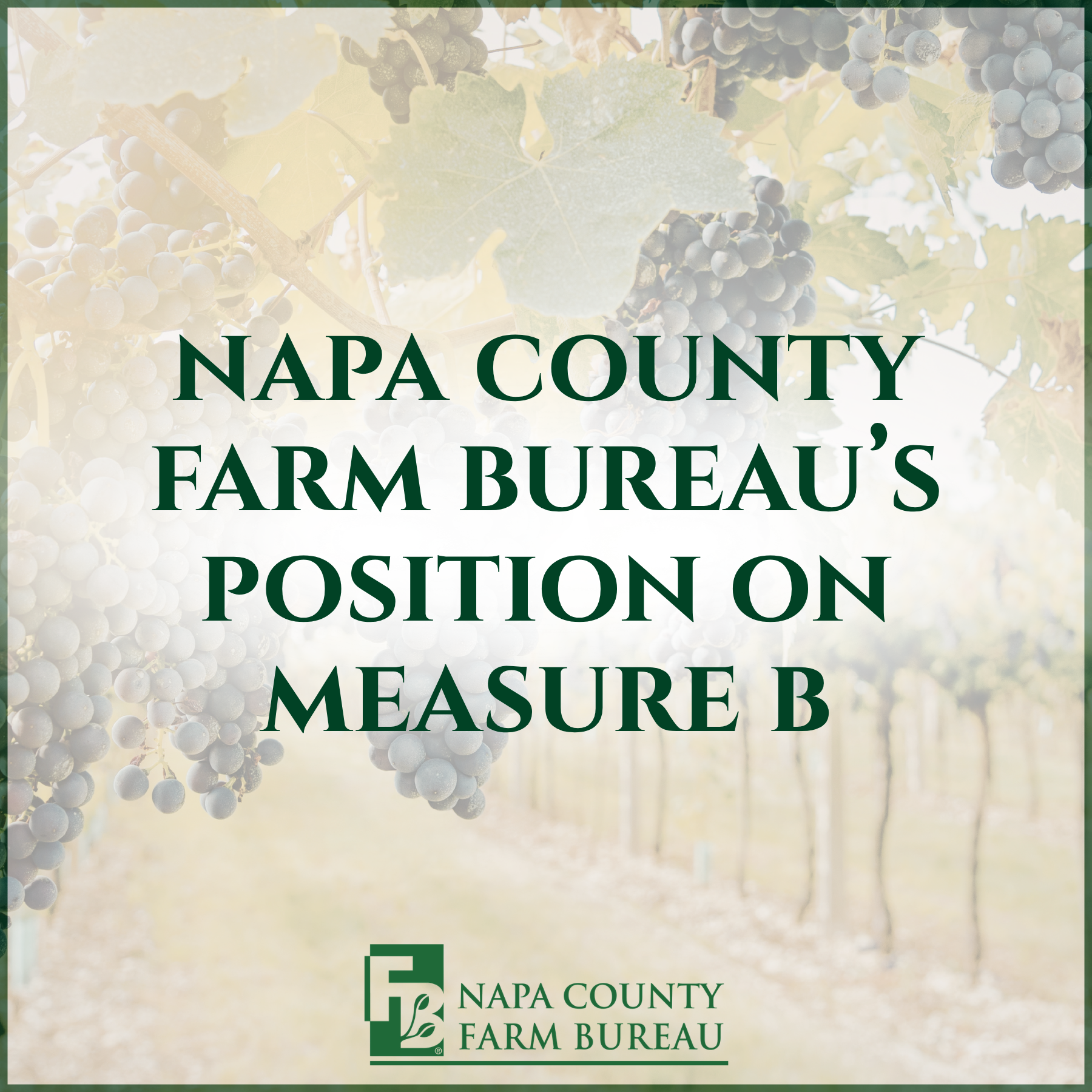 Position on Measure B