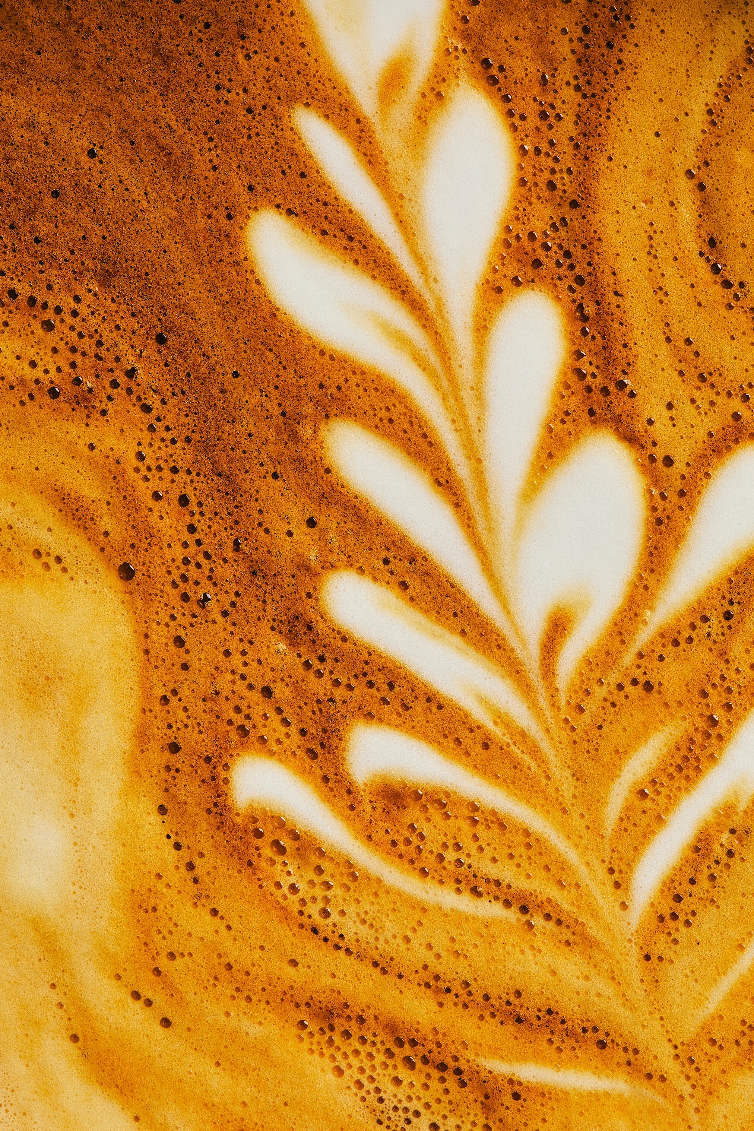 0005 —— three-owls-nyc.jpg