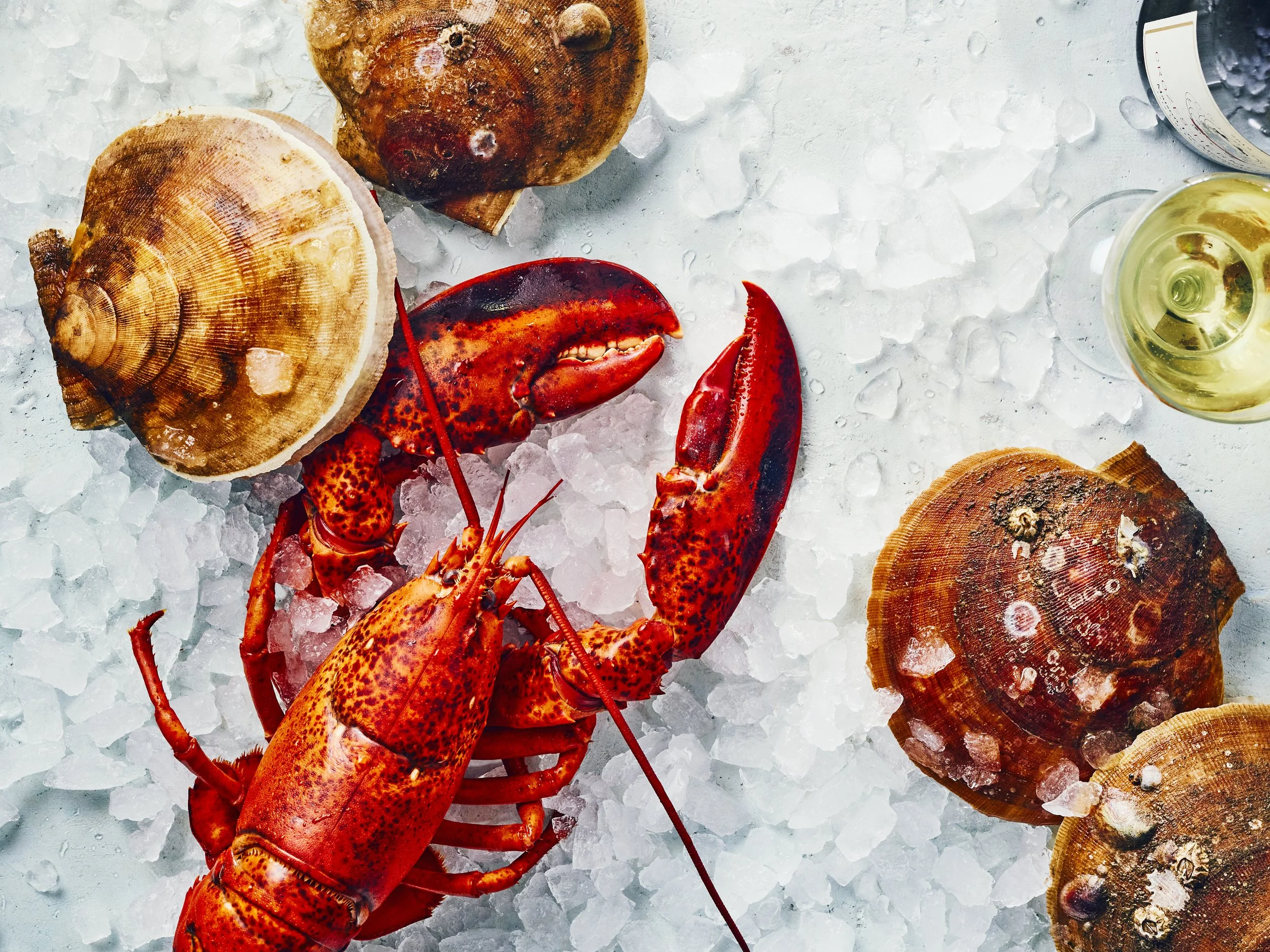 2022-02-03 — WINE ENTHUSIAST0249.jpg