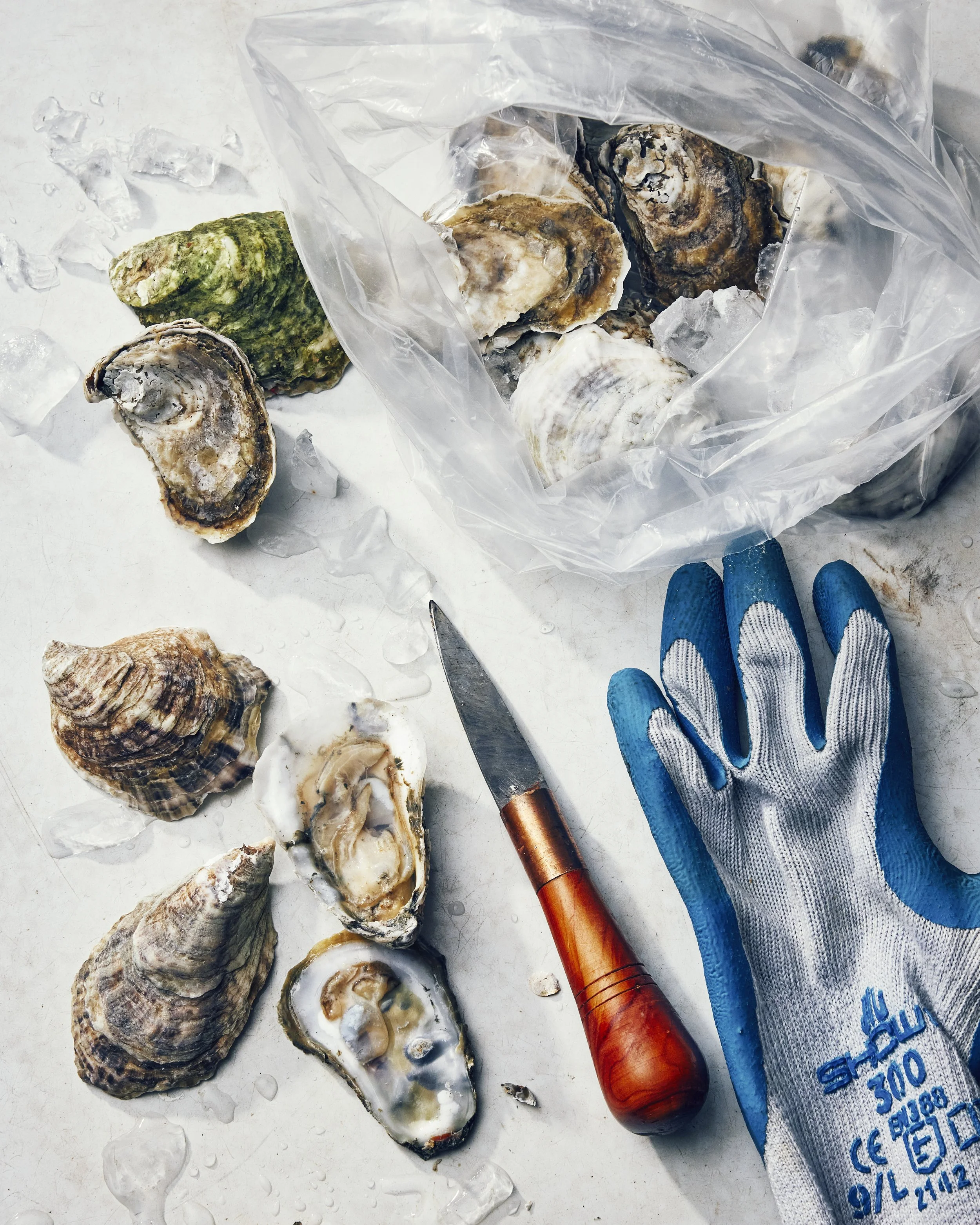 01 - oysters - 0205.jpg