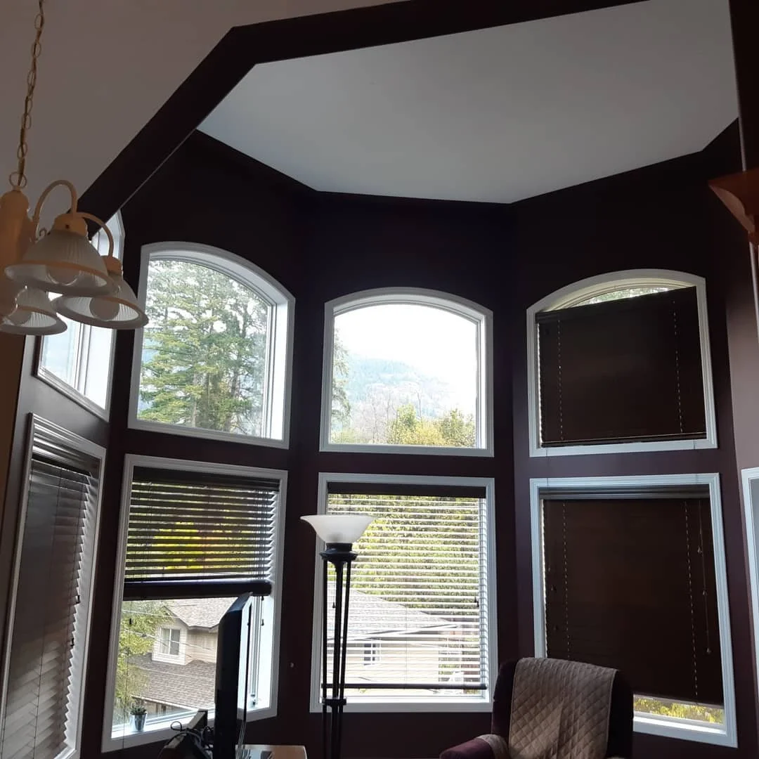 Before and after pictures. 
Going from strong colors to a light "Balboa Mist" really brightened up the look of this home.
@stellarpaintingnelson