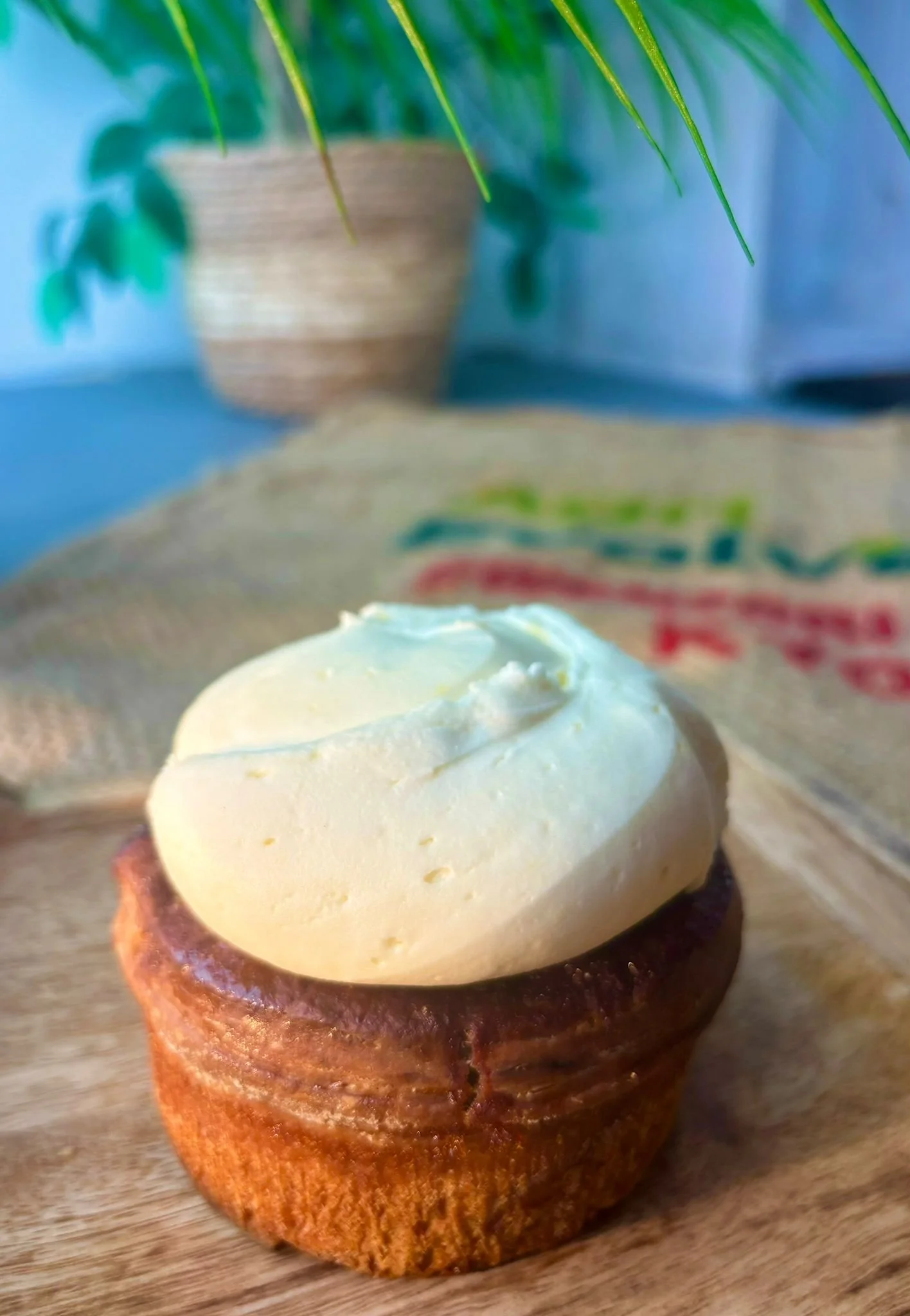 Cinnamon Bun - Top View.JPG