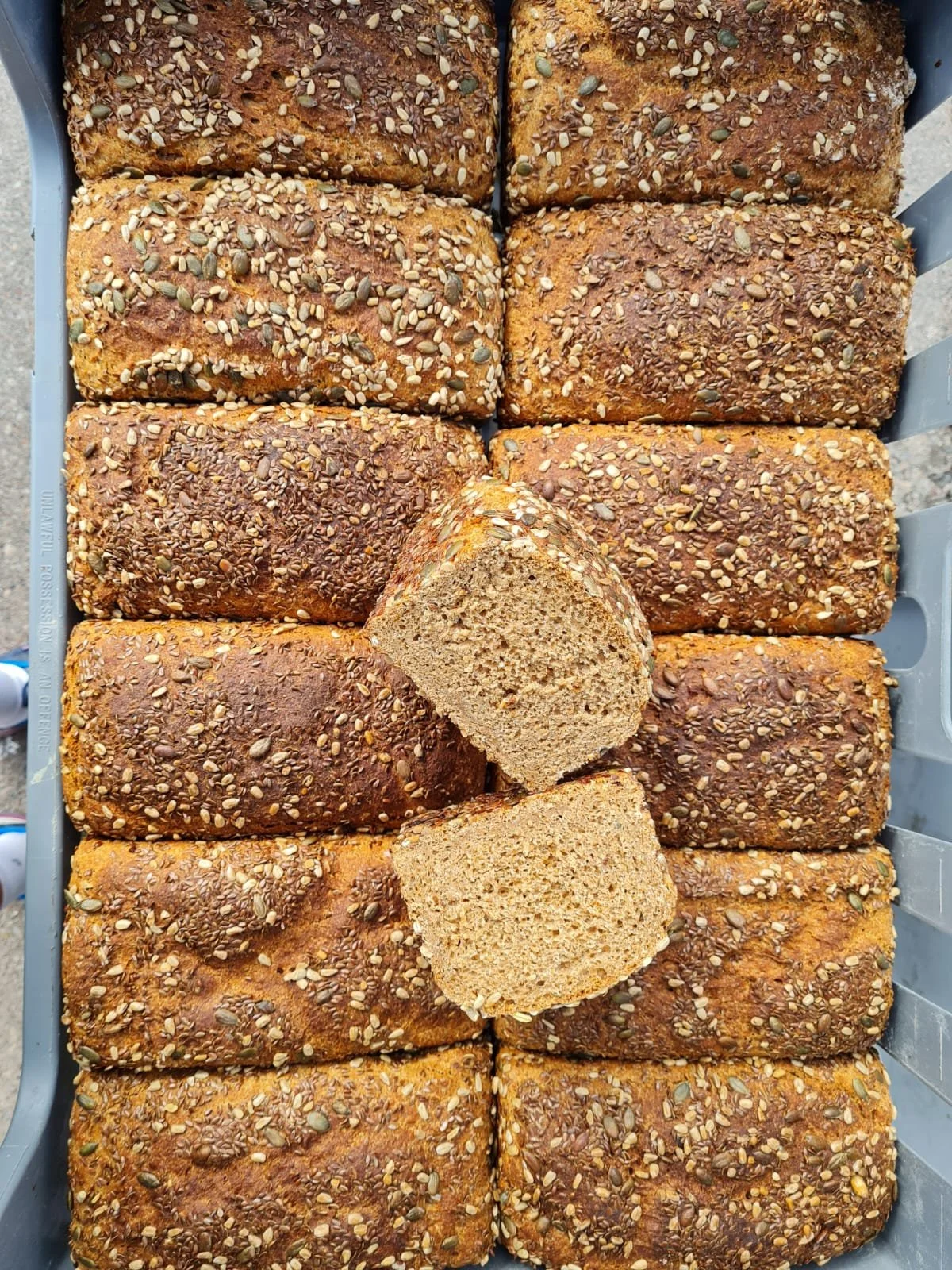 Rye Bread 3.JPG