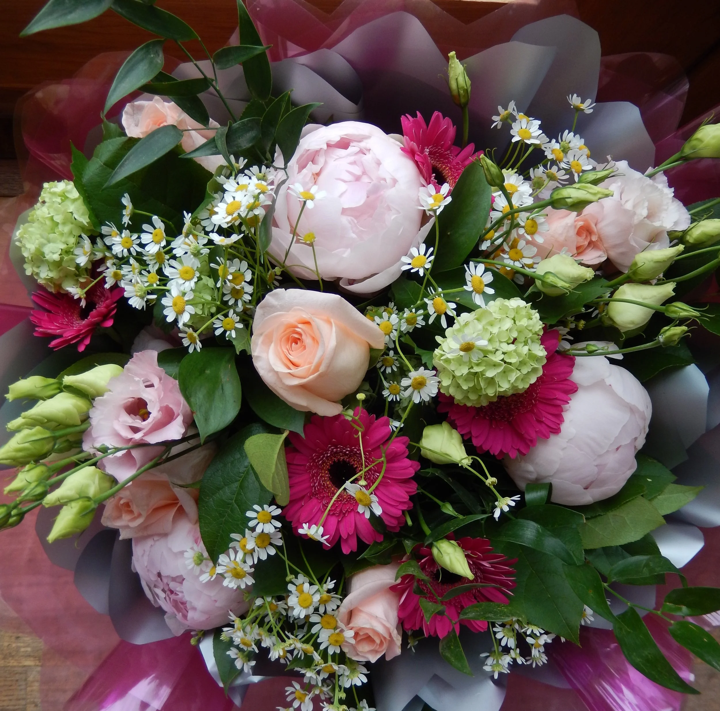 DSCN0660.JPG