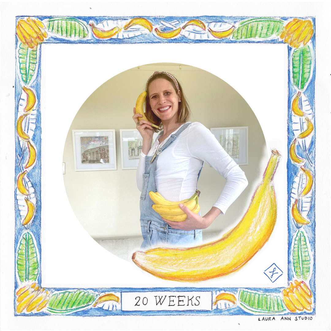 Laura Ann Studio Watercolor Bump Pregnancy Tracker_20 Weeks.png