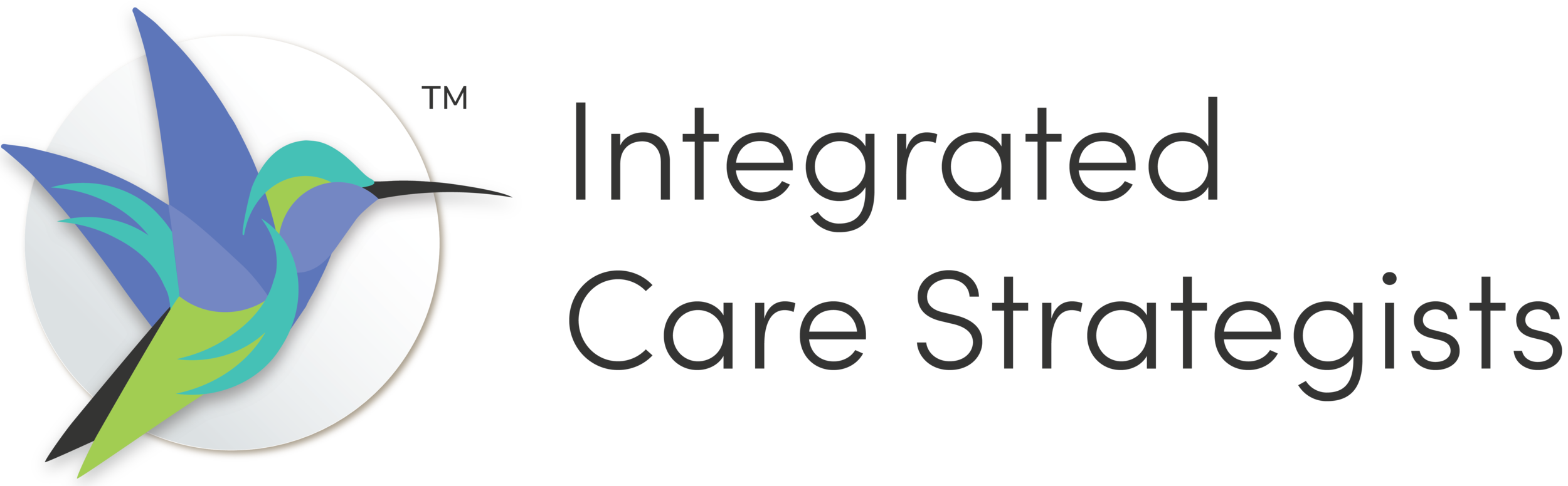 Integrated Care Strategists: The Care Coordination Consultants of Choice