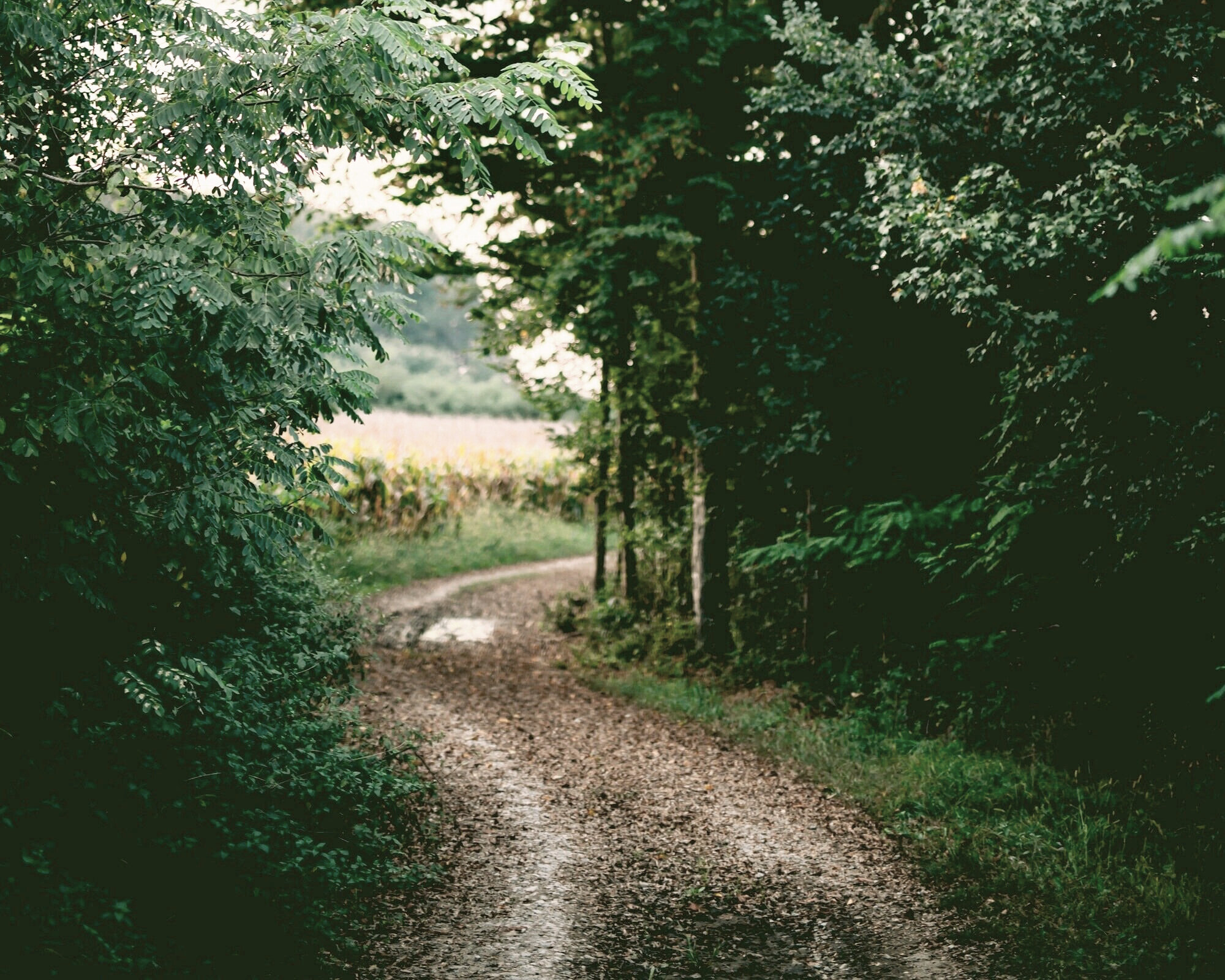curvedpathramiz-dedakovic-hXaU4neFHGQ-unsplash.jpg
