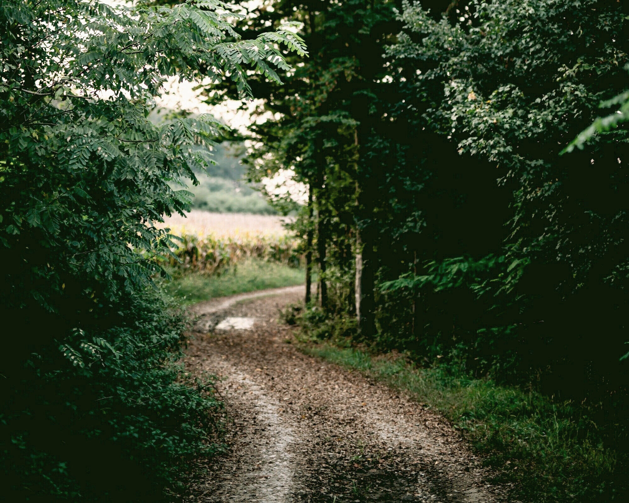 curvedpathramiz-dedakovic-hXaU4neFHGQ-unsplash.jpg