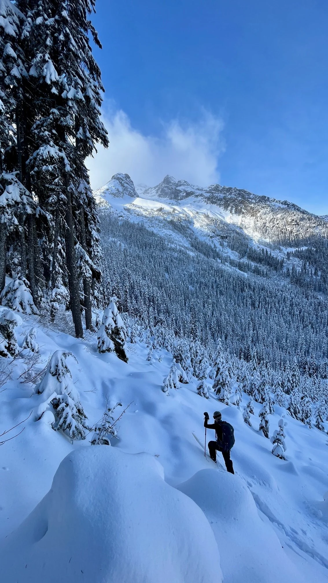 Never Give Up: One Step at a Time