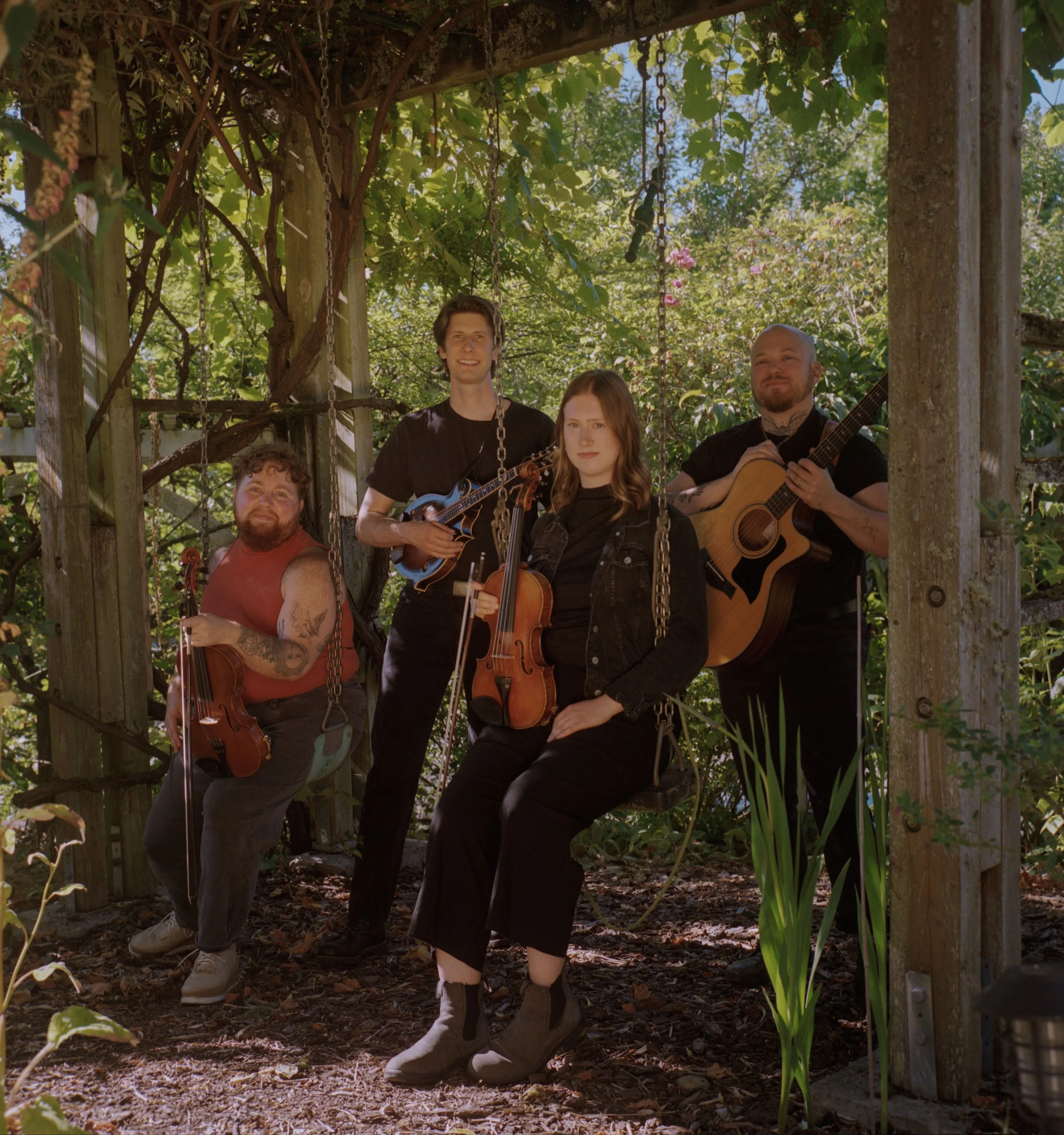 Bellingham Celtic Festival with The Hayden Stern Band