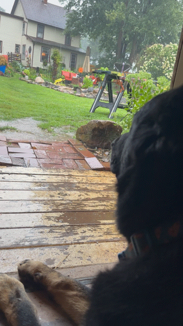 20260816_154652.gif