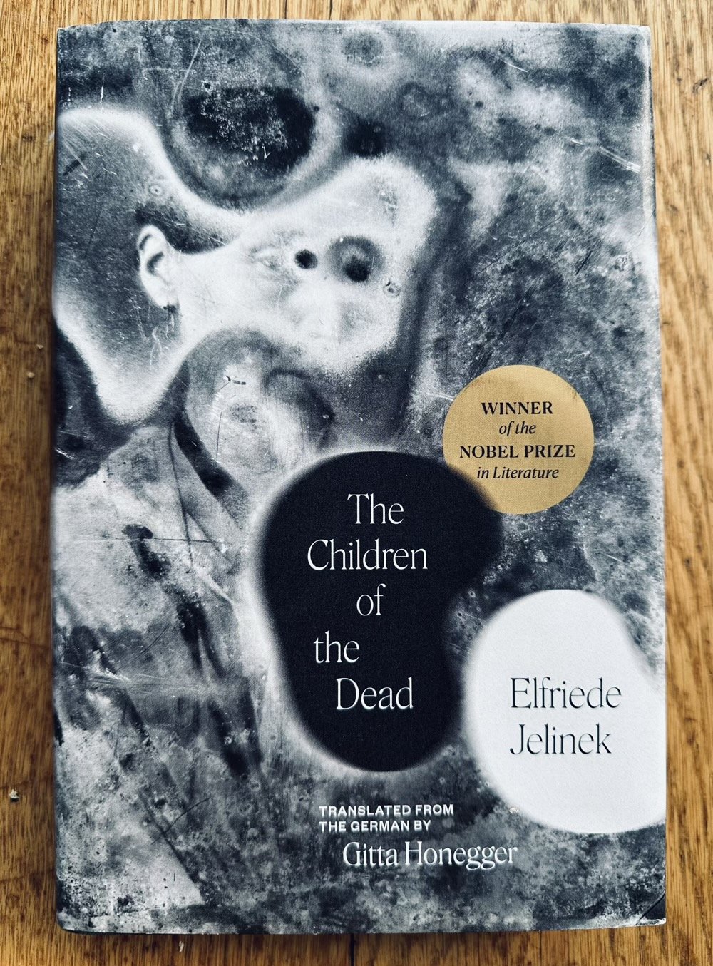 Book: THE CHILDREN OF THE DEAD, by Elfride Jelinek