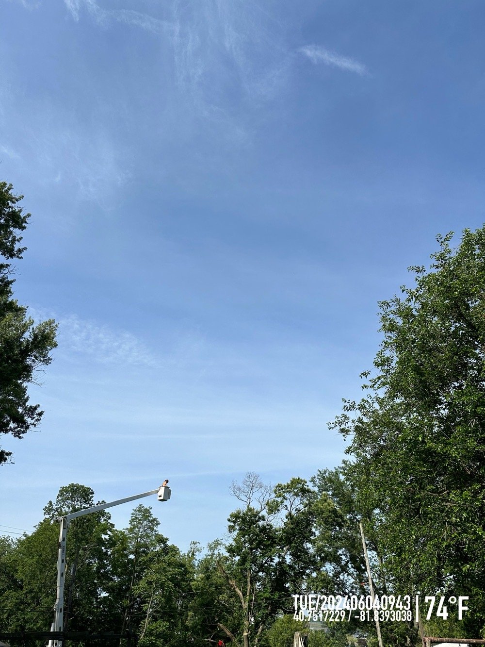 dude in bucket, blue sky, green leaves