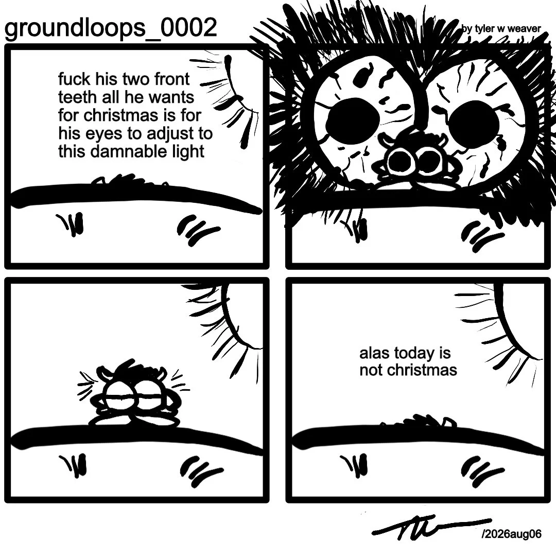 groundloops_02.jpg
