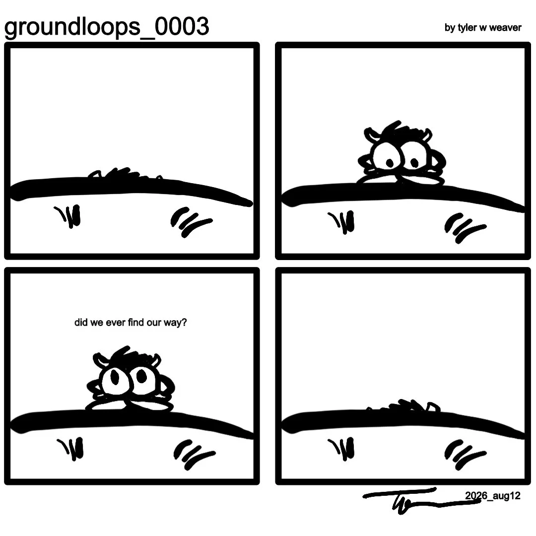 groundloops_03.jpeg