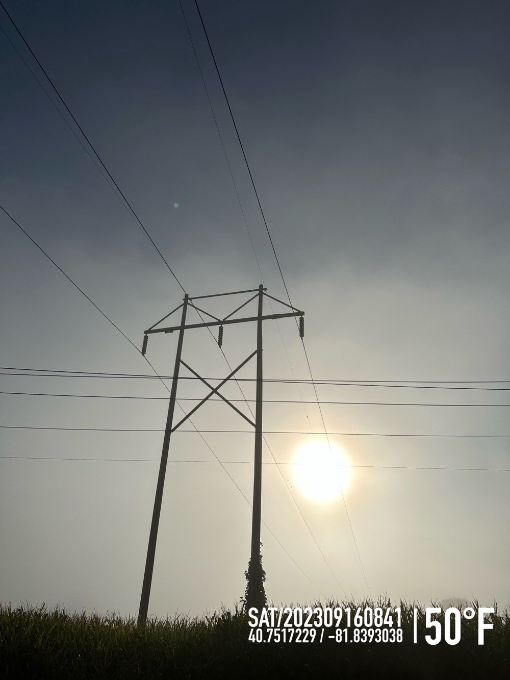 telephone poles and lines in a cornfield on a foggy morning, sun breaking through