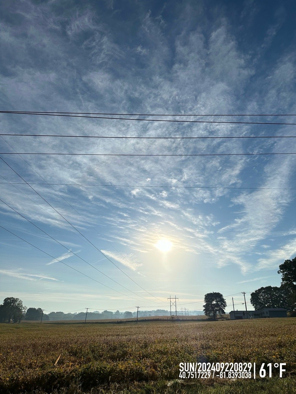 blue sky yellow sun dry fields