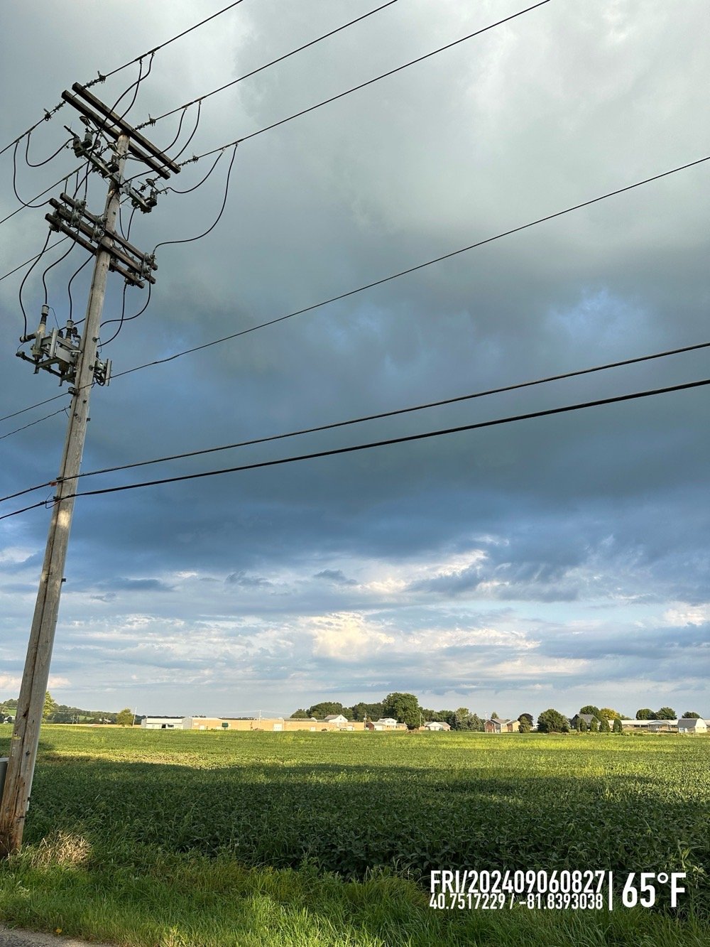 green field, blue and black skies, power lines