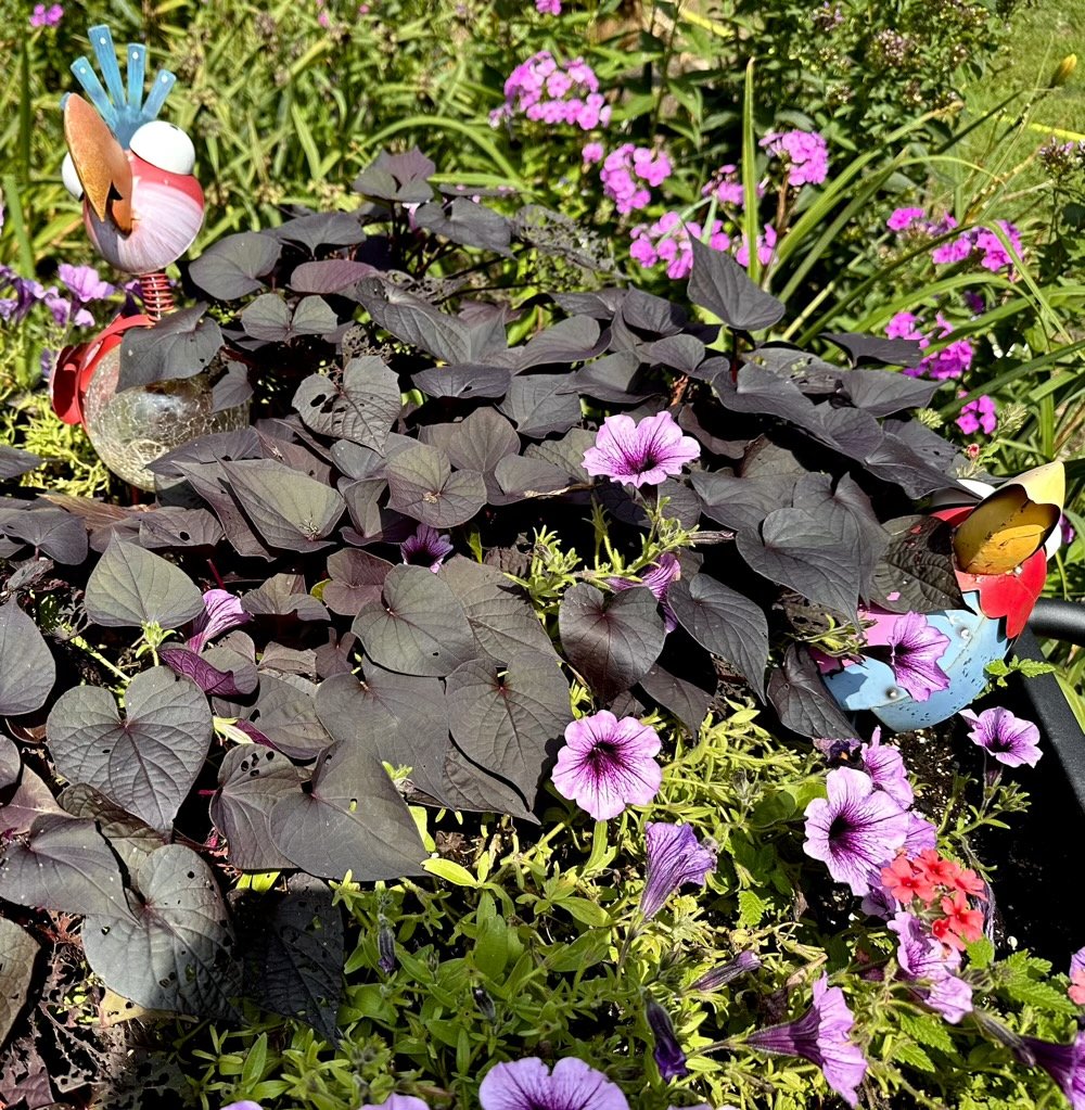 a bunch of pretty flowers and some weird looking and totally amusing metal birds.