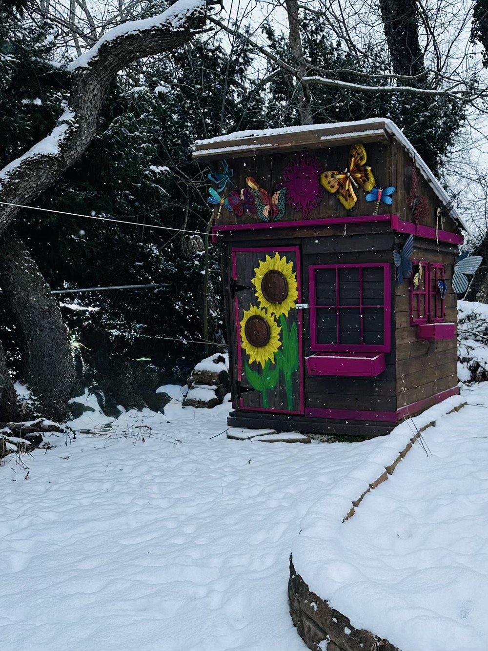 brightly painted sunflowers on a brown shed with fucia trim in the snow