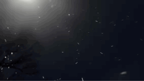 falling snow gif in black and white