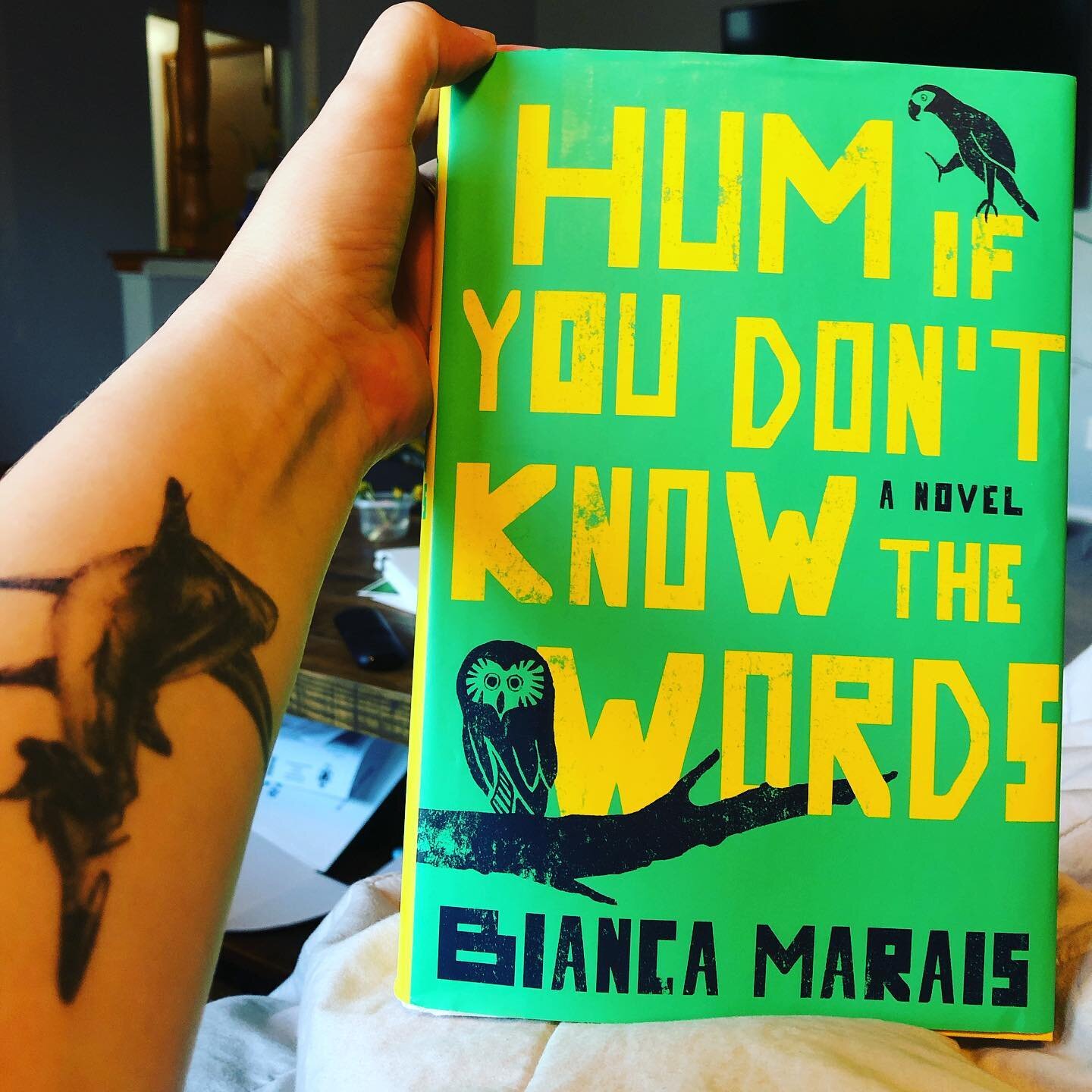It&rsquo;s been some time since I&rsquo;ve been able to read. I&rsquo;ve finished two books in the last few days, both which have spoken to me on levels I wasn&rsquo;t expecting to connect with. HUM IF YOU DON&rsquo;T KNOW THE WORDS gave me feelings,