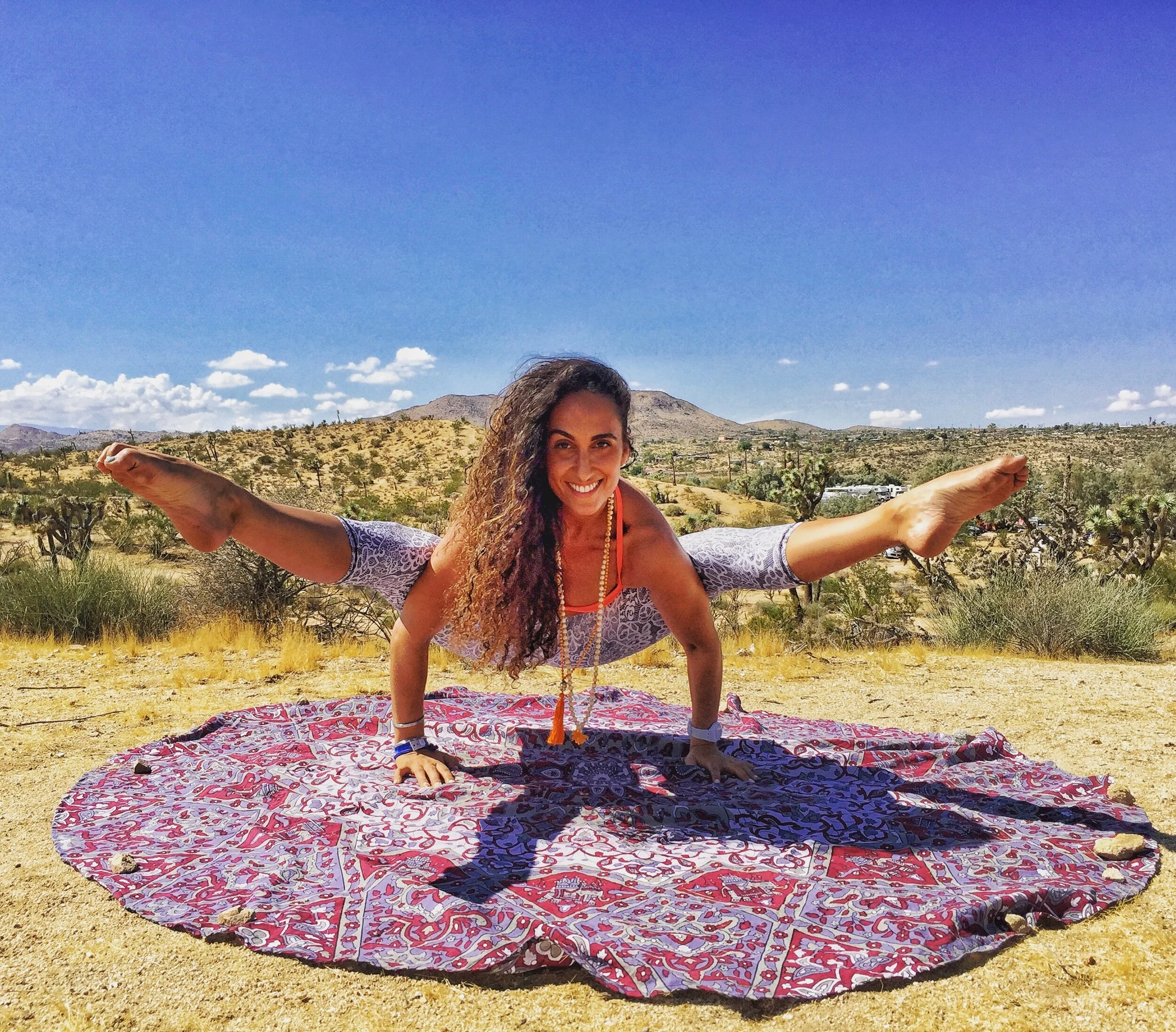 Joshua Tree Splits.JPG