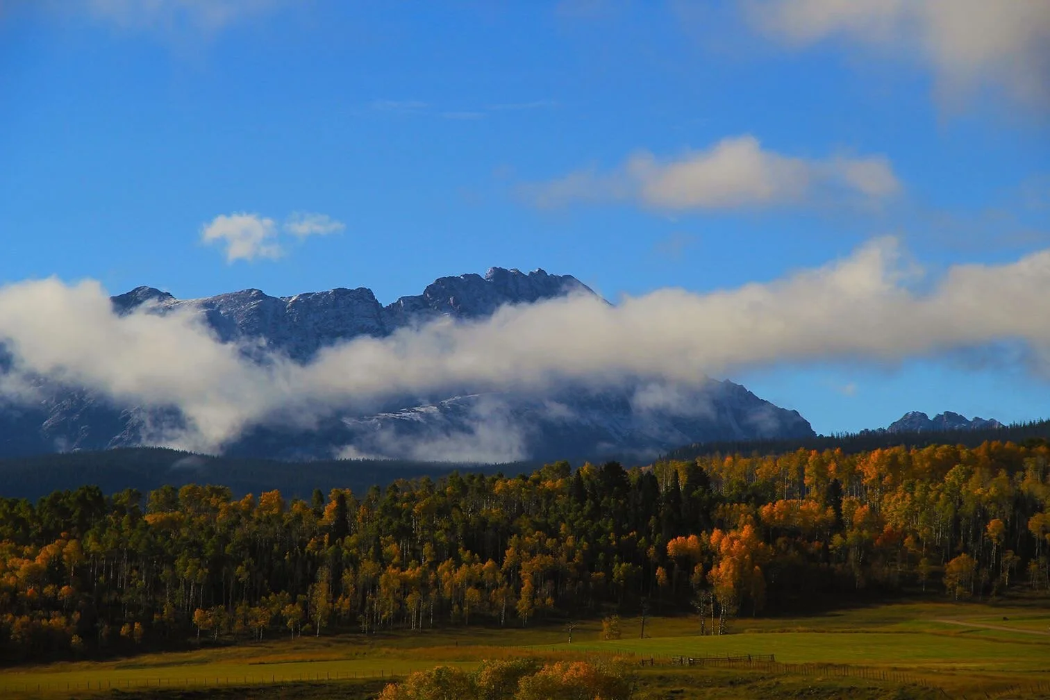 Copy of IMG_0365.JPG