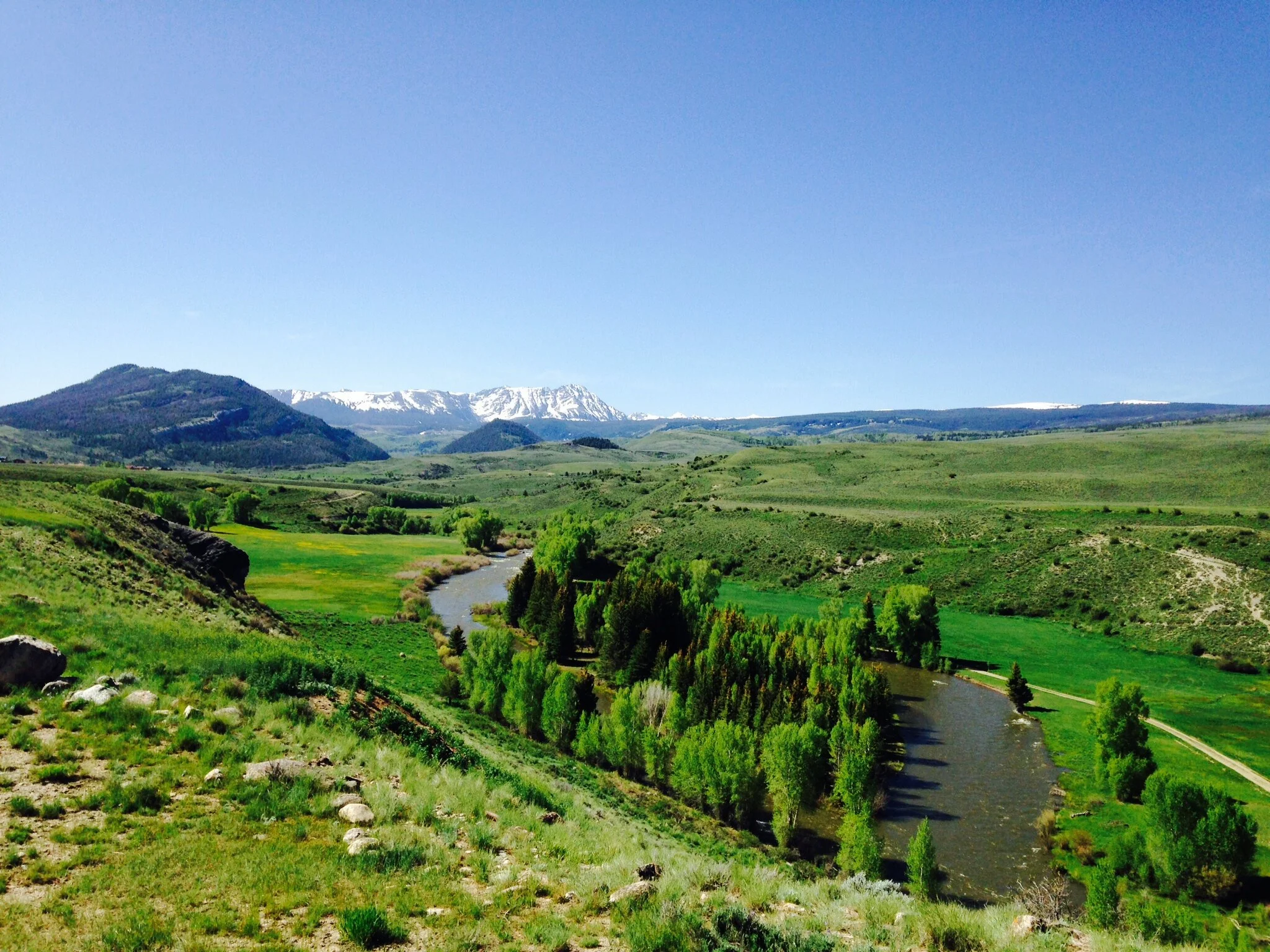 Copy of IMG_3986.JPG