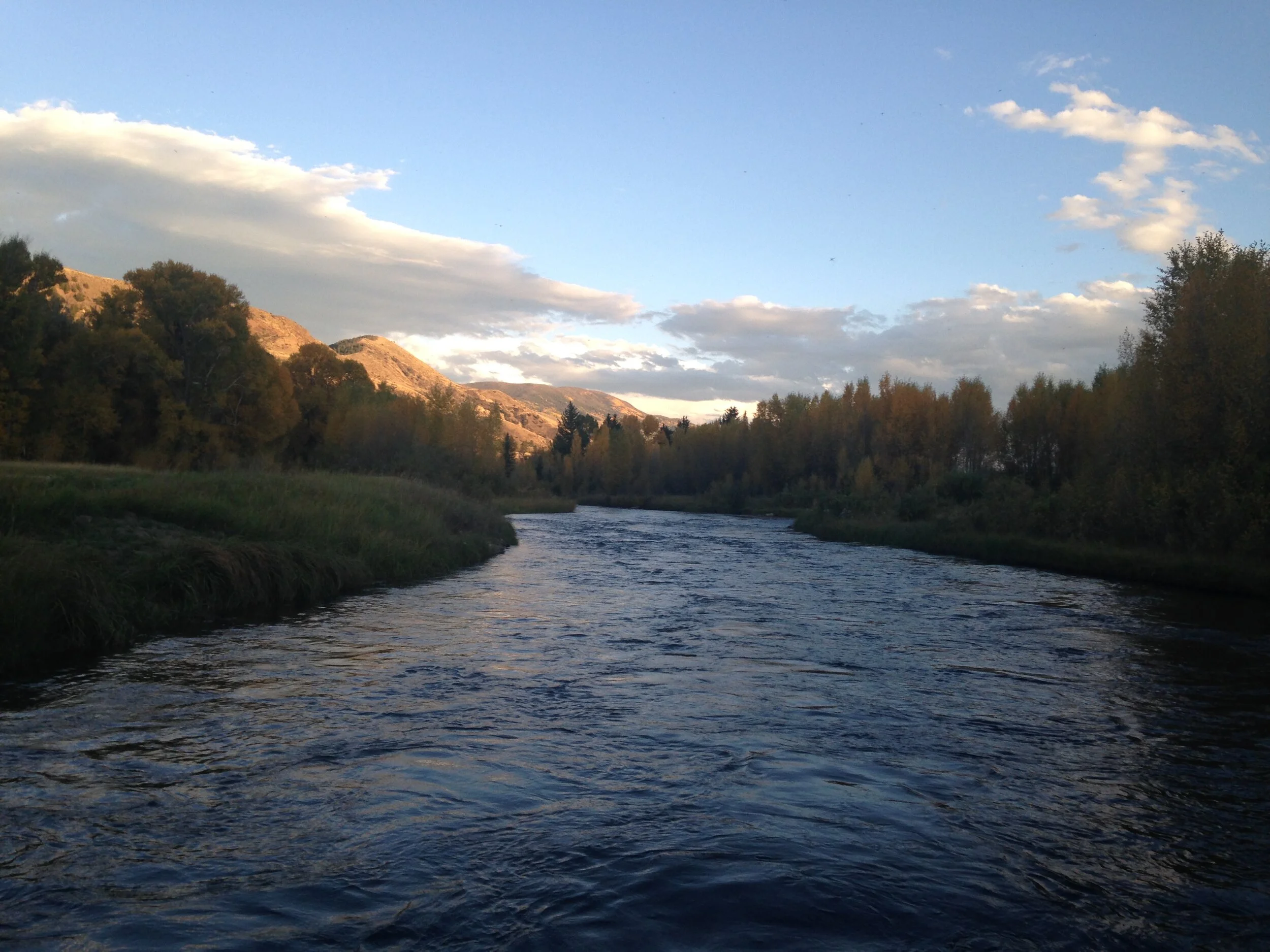 Copy of IMG_4401.JPG