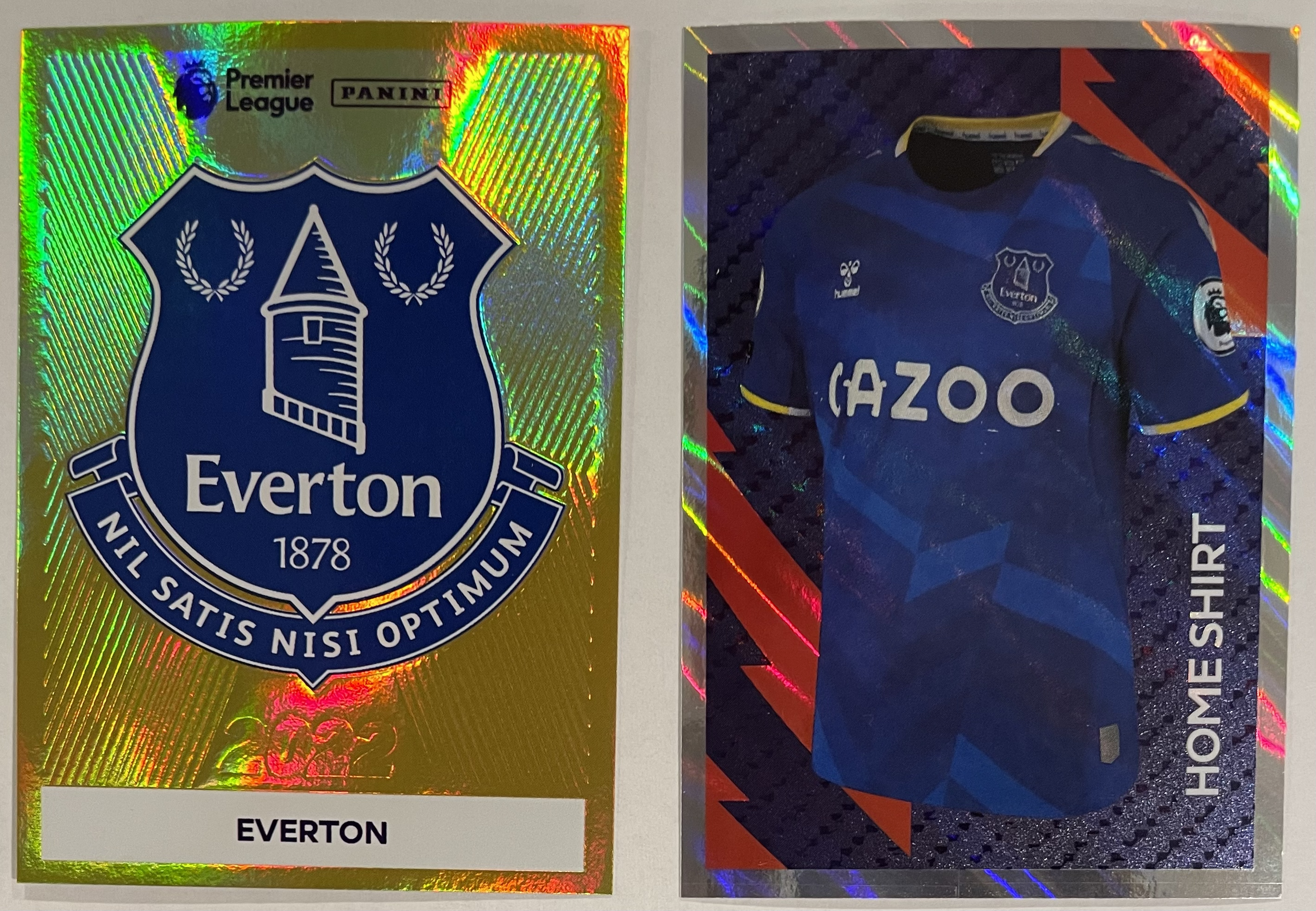 everton 2022 panini stickers