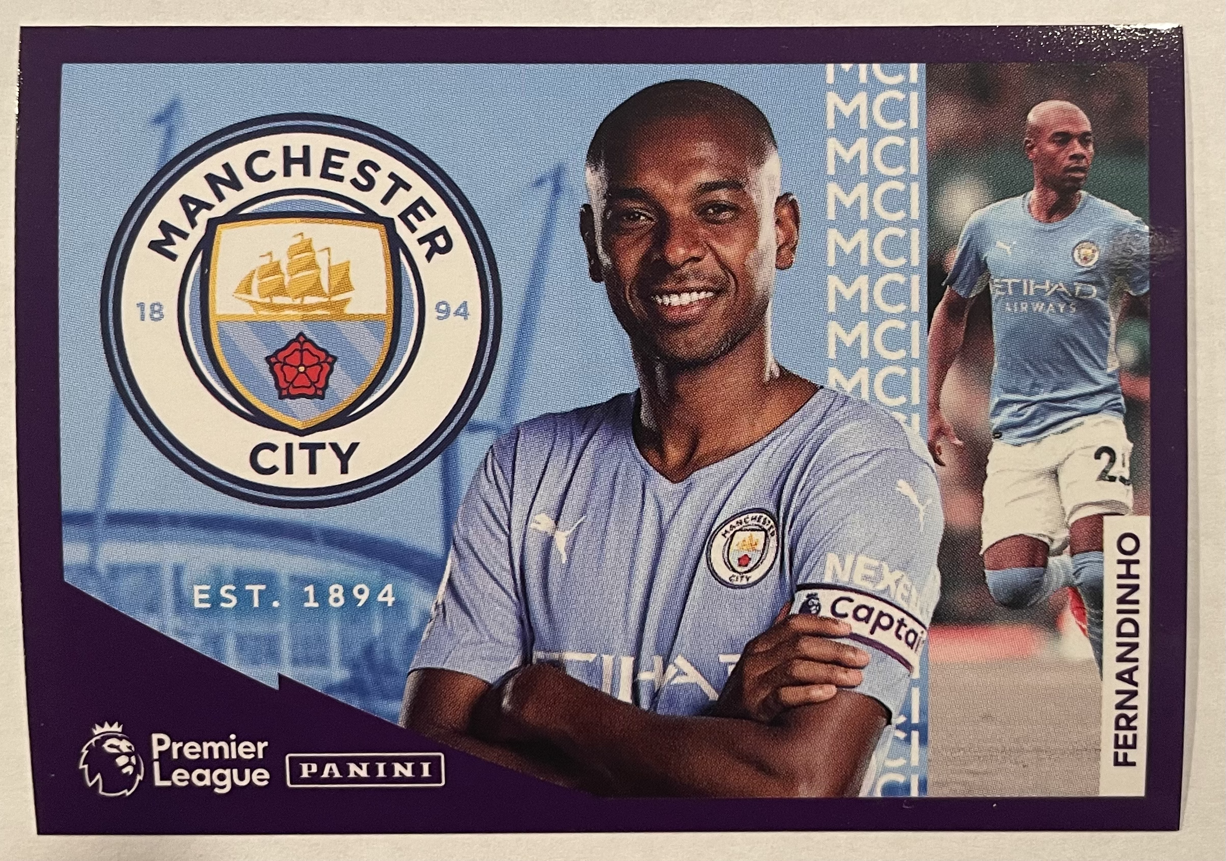 fernandinho 2022 panini sticker