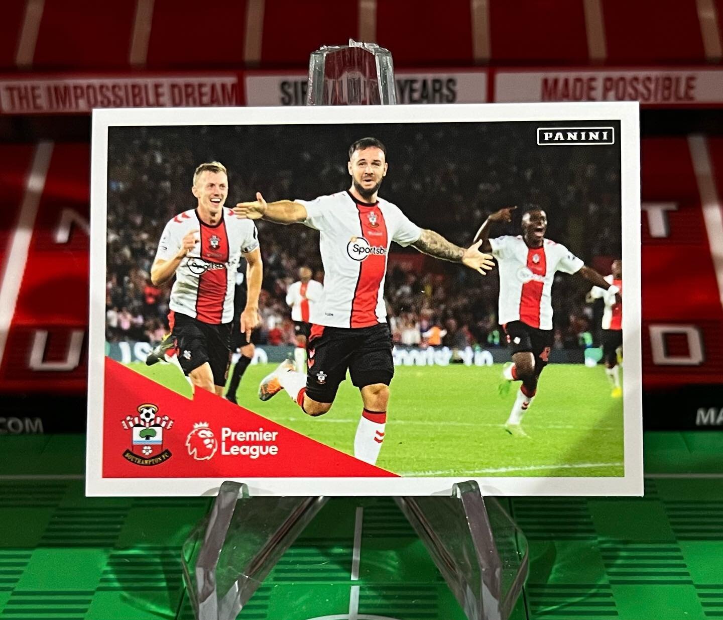 #southamptonfc #southamptoncards #paninisoccer #paninistickers #soccercards